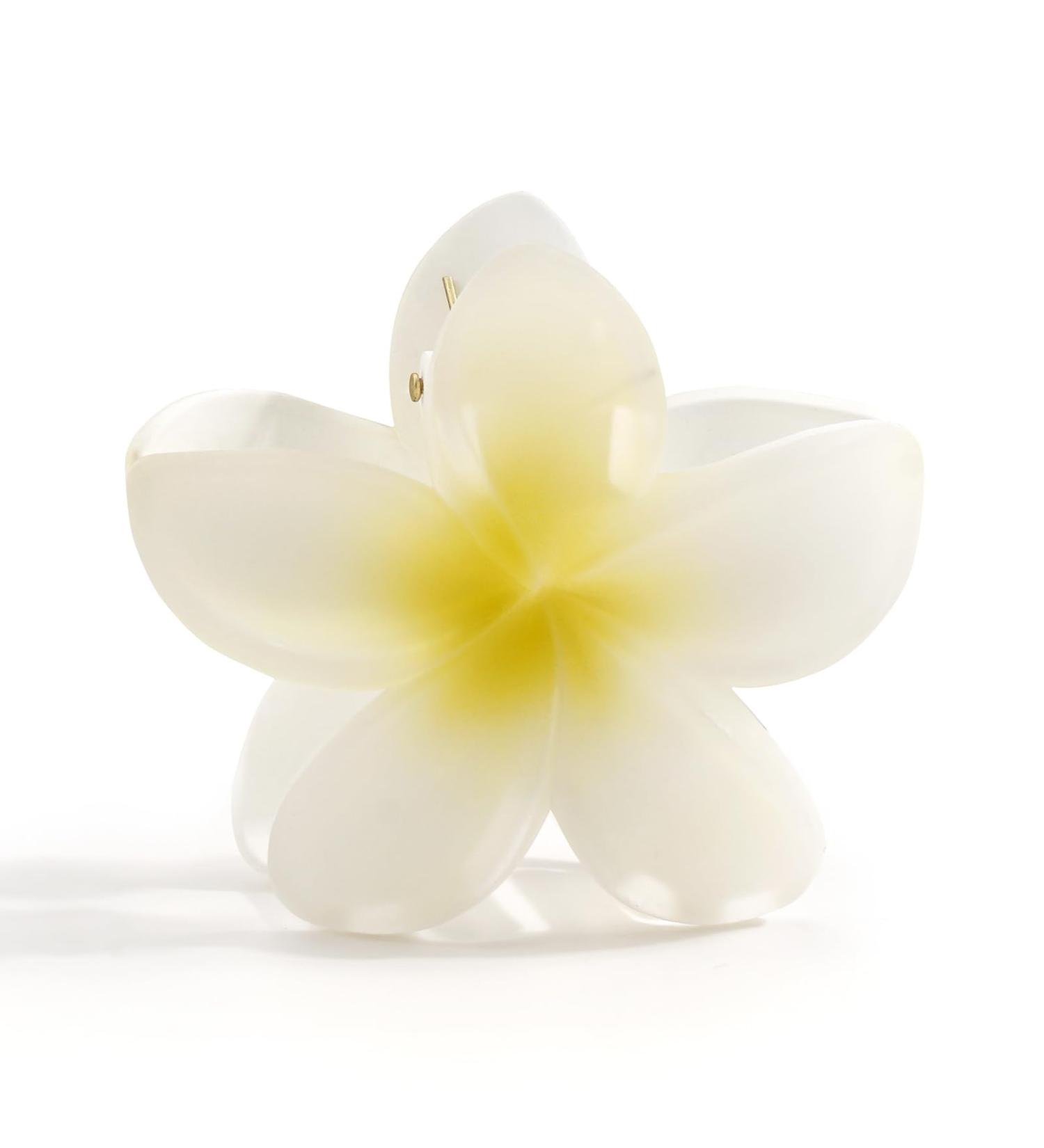 JOYOYO 4 Pcs Matte Flower Hair Clips | 3 Inch Medium Claw Clips for Women & Girls - Buy Online on GoSupps.com
