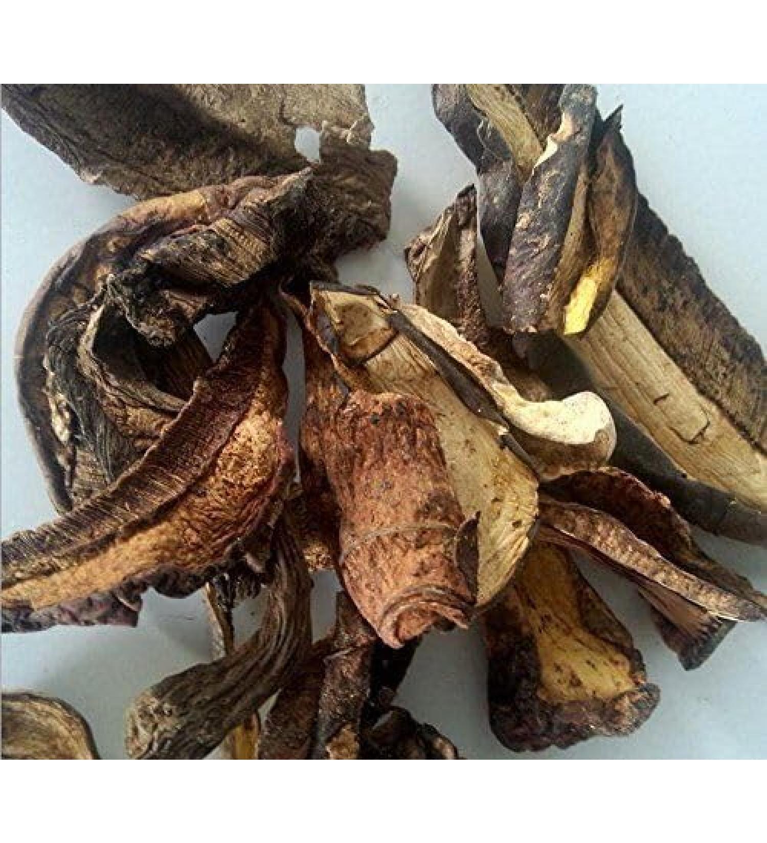 WENXUANSU:2 Pound (908 grams) Boletus aereus mushroom dried Grade A Black porcini - Buy Online on GoSupps.com