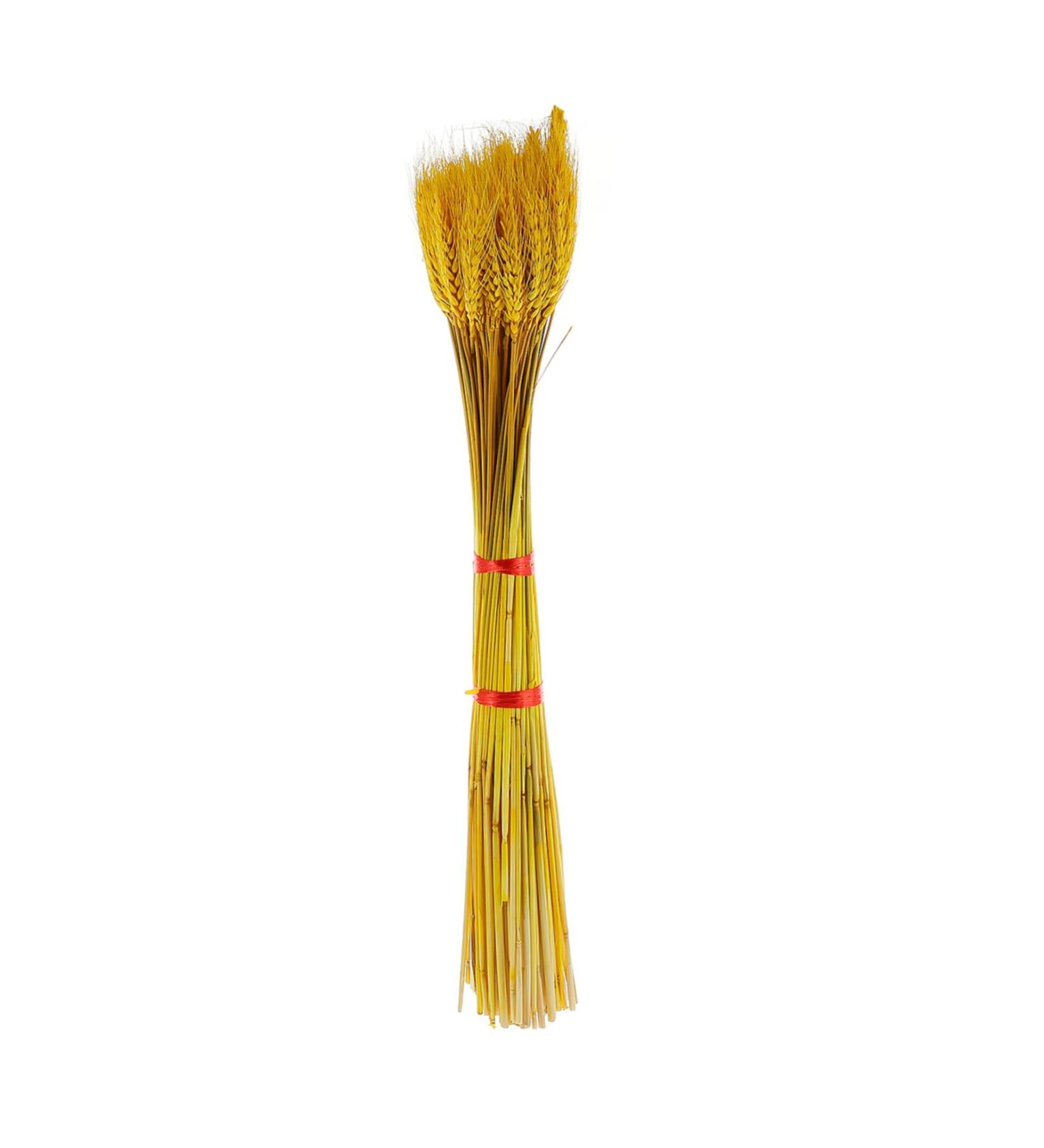 TOPBATHY Wheat Ear 200 Pcs Dried Wheat Ears Bouquet Barley Gift Dried Flowers. Wheat Ears Decor Yellowx2pcs 52X10CMx2pcs - Buy Online on GoSupps.com