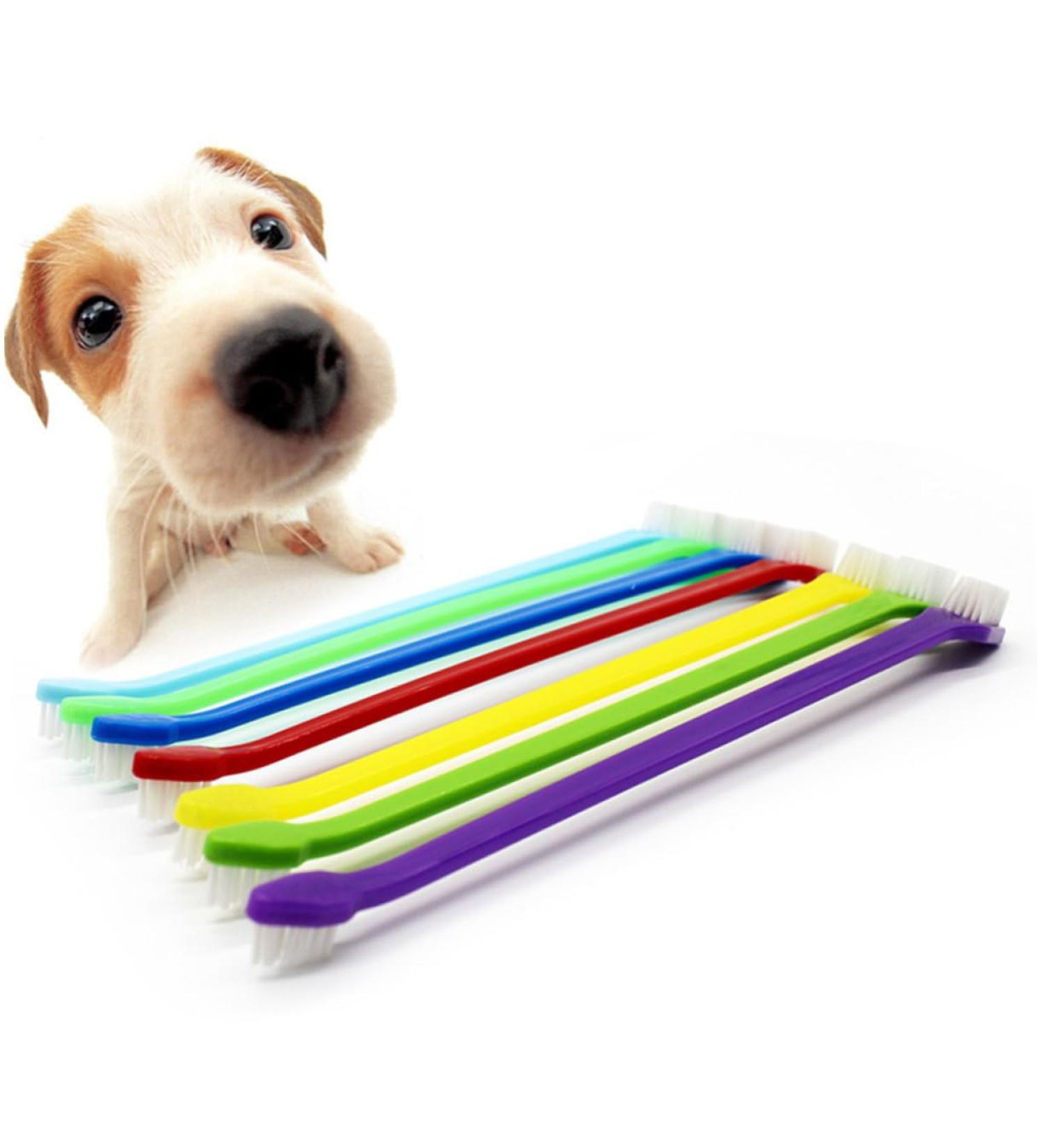 GRIRIW 2pcs Cat Dog Toothbrush Dog Teeth Cleaning Mouth Care Wash for Dogs Toothbrushes Toothpaste - Buy Online on GoSupps.com