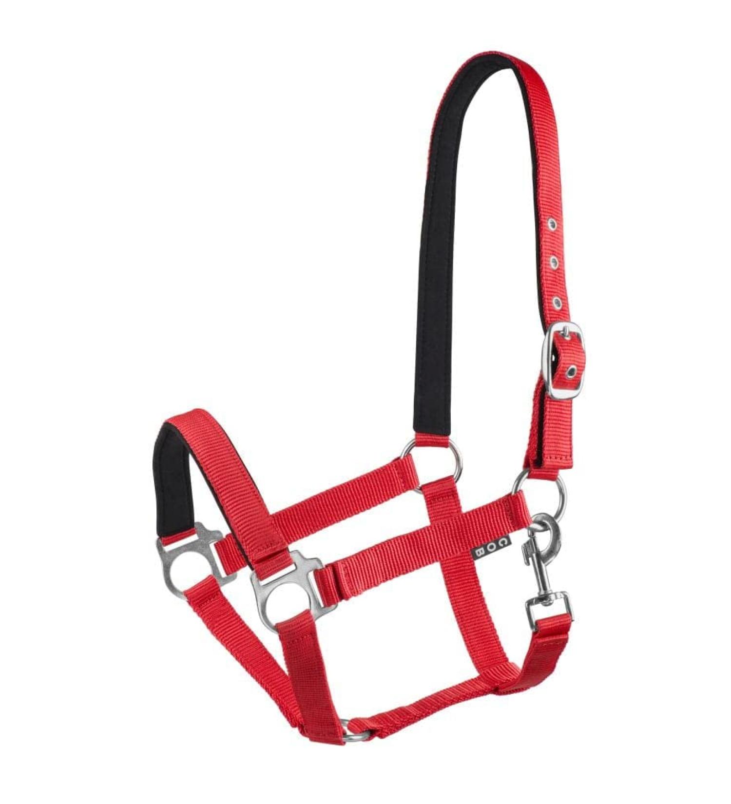 Start Economic Lined Halter for Horses Thoroughbred Pony - Stallhastter with two -stage adjustment - chin and neck piece - pasture horse halter halter warm blood neoprene -fed (red full) full (warm blood) red
