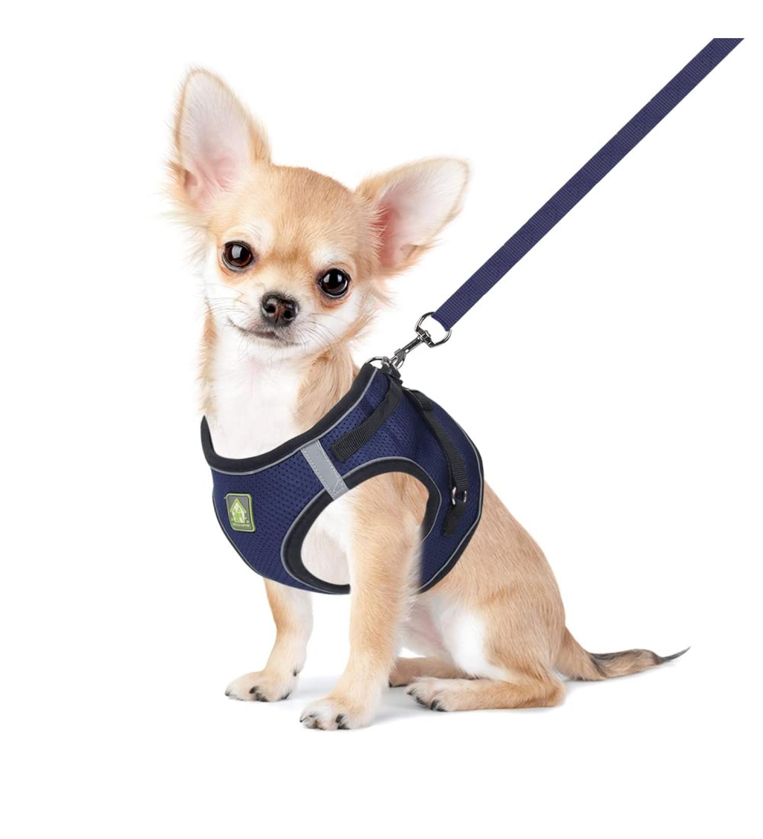 Buy Femax Dog Harness & Leash for Small/Mid-Sized Dogs & Cats - Soft Mesh Adjustable Reflective No Pull Vest - Navy Blue Perfect for Chihuahuas & Puppies - Buy Online on GoSupps.com