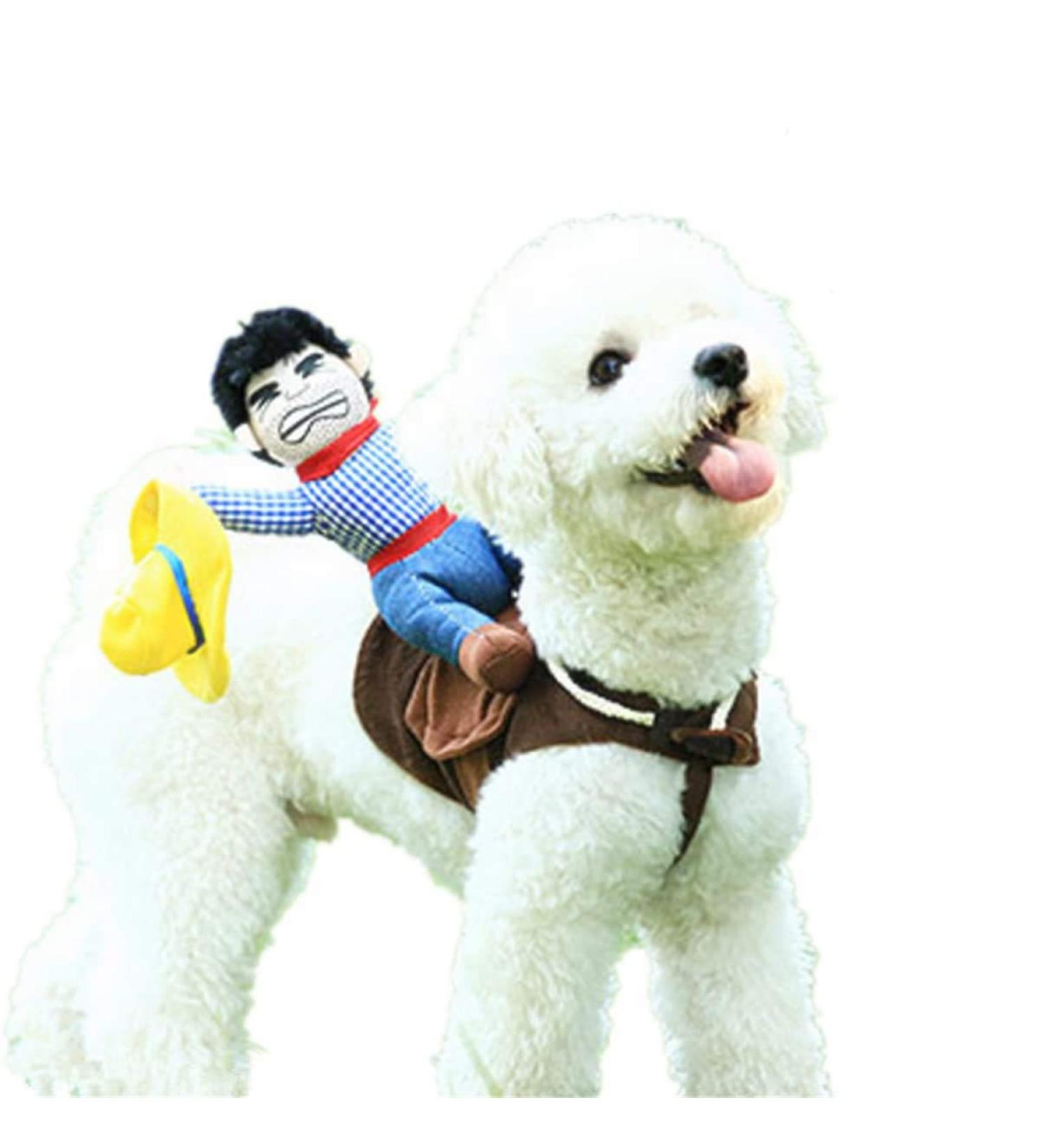 Small Cowboy Rider Style Pet Costume for Dogs - Fun and Stylish Pet Suit - Buy Online on GoSupps.com