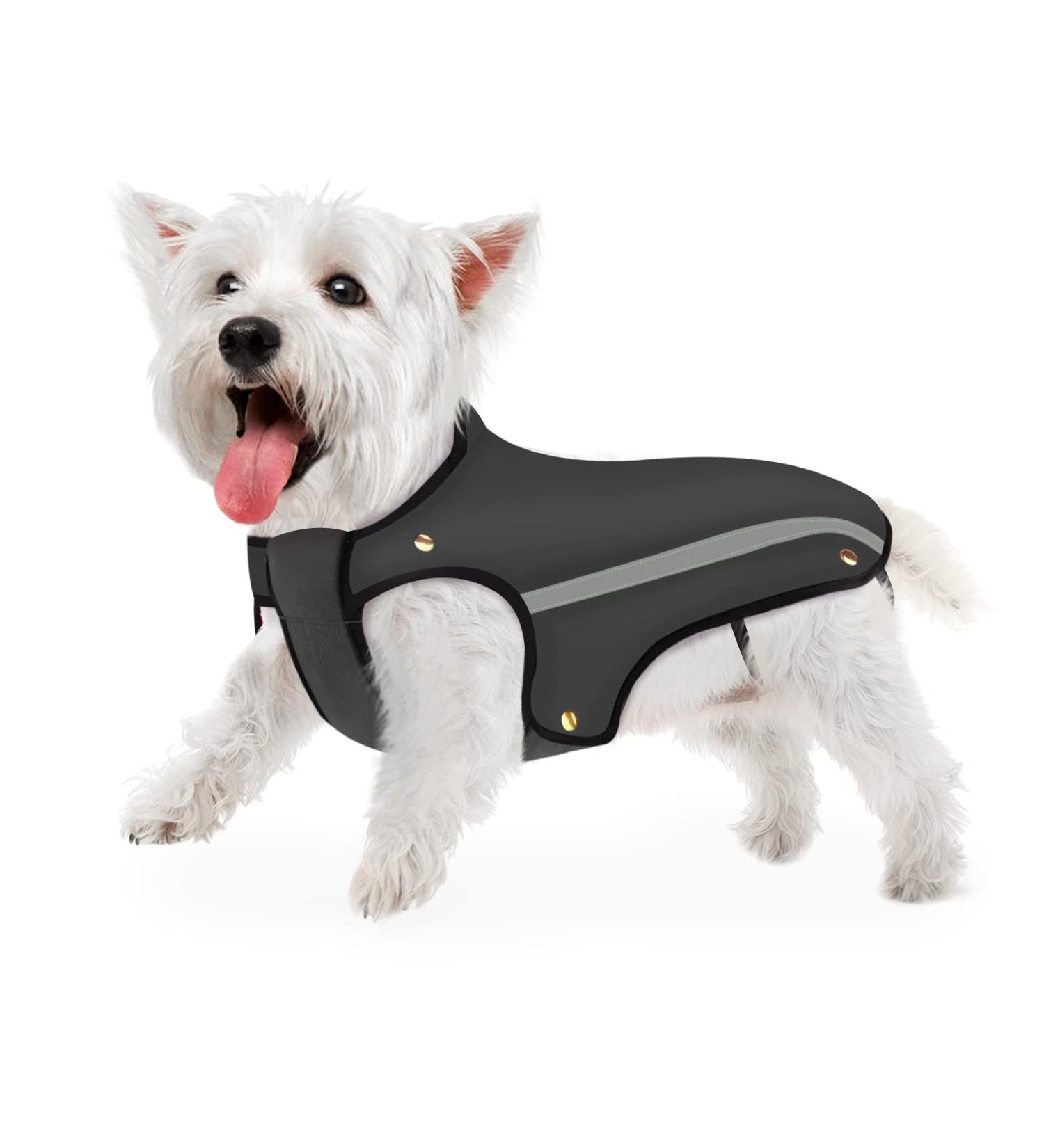Slowton Waterproof Dog Jacket - Adjustable Reflective Pet Coat for Winter - Small Gray - Buy Online on GoSupps.com