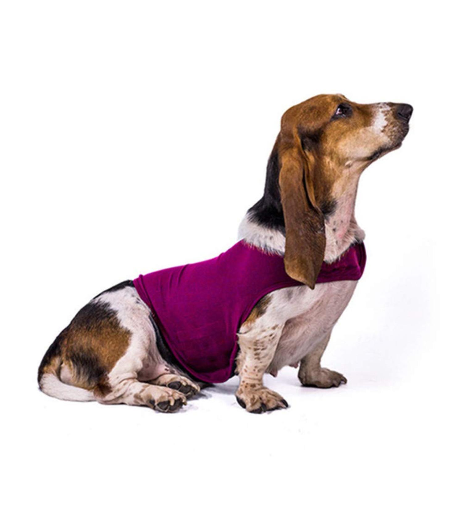 Beautyhe Dog Coat Anti-Stress Vest - Calming Recovery Suit for Dogs | Medical Pet Shirt in Rose-Red (Size 26) - Buy Online on GoSupps.com