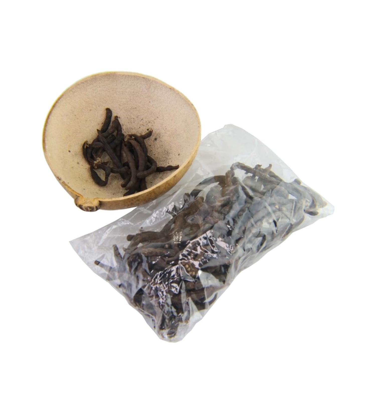 Ache de Santo Kola **JICARA NO INCLUIDA** - Orisha Ashe Kola **JICARA NOT Included**