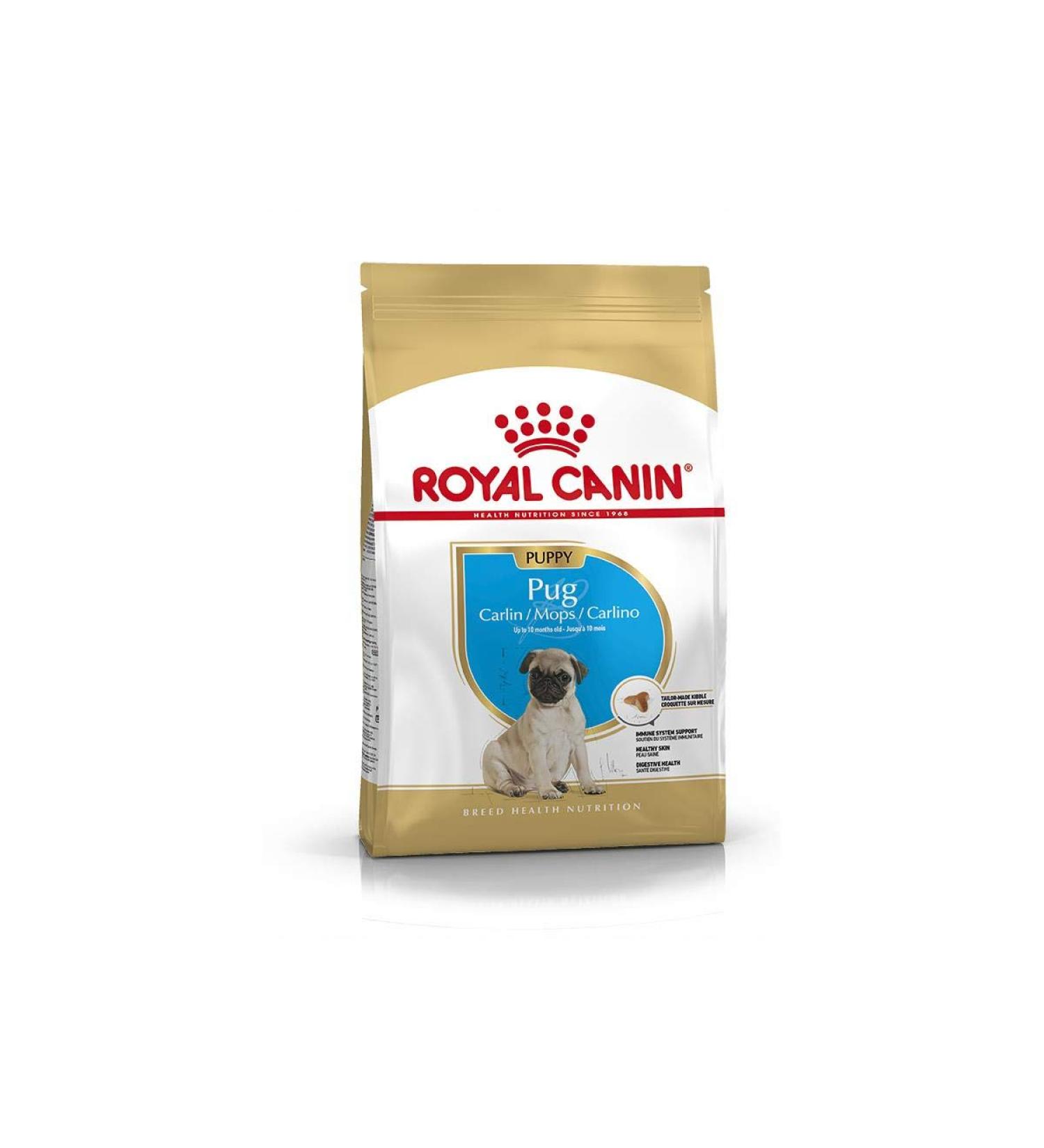 Royal Canin Pug Pug Junior 0.5 kg - Buy Online on GoSupps.com