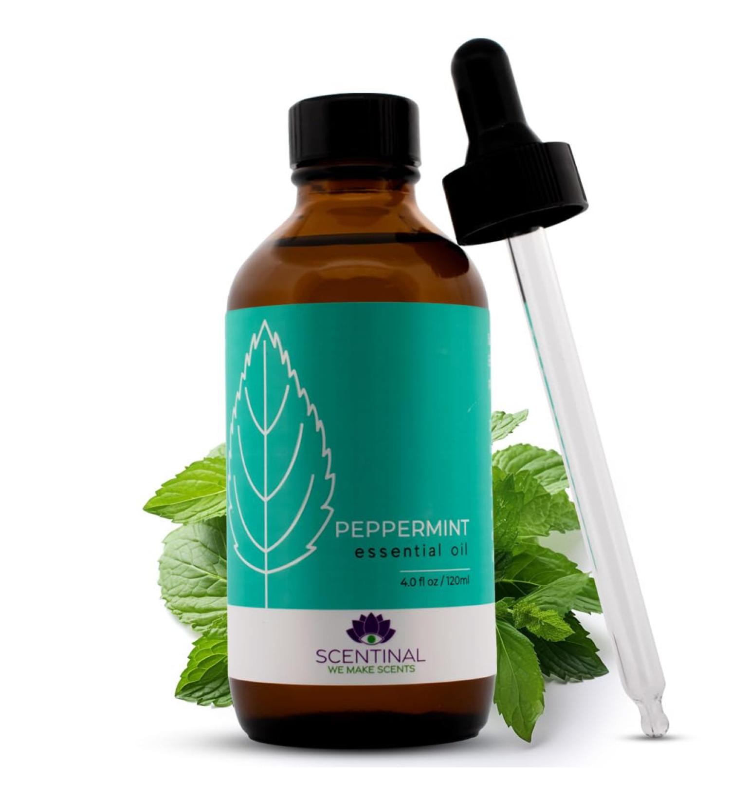 Buy 100% Pure Peppermint Essential Oil - Scentinal Premium 4oz (120ml) Natural & Undiluted with Eyedropper for Aromatherapy - Buy Online on GoSupps.com