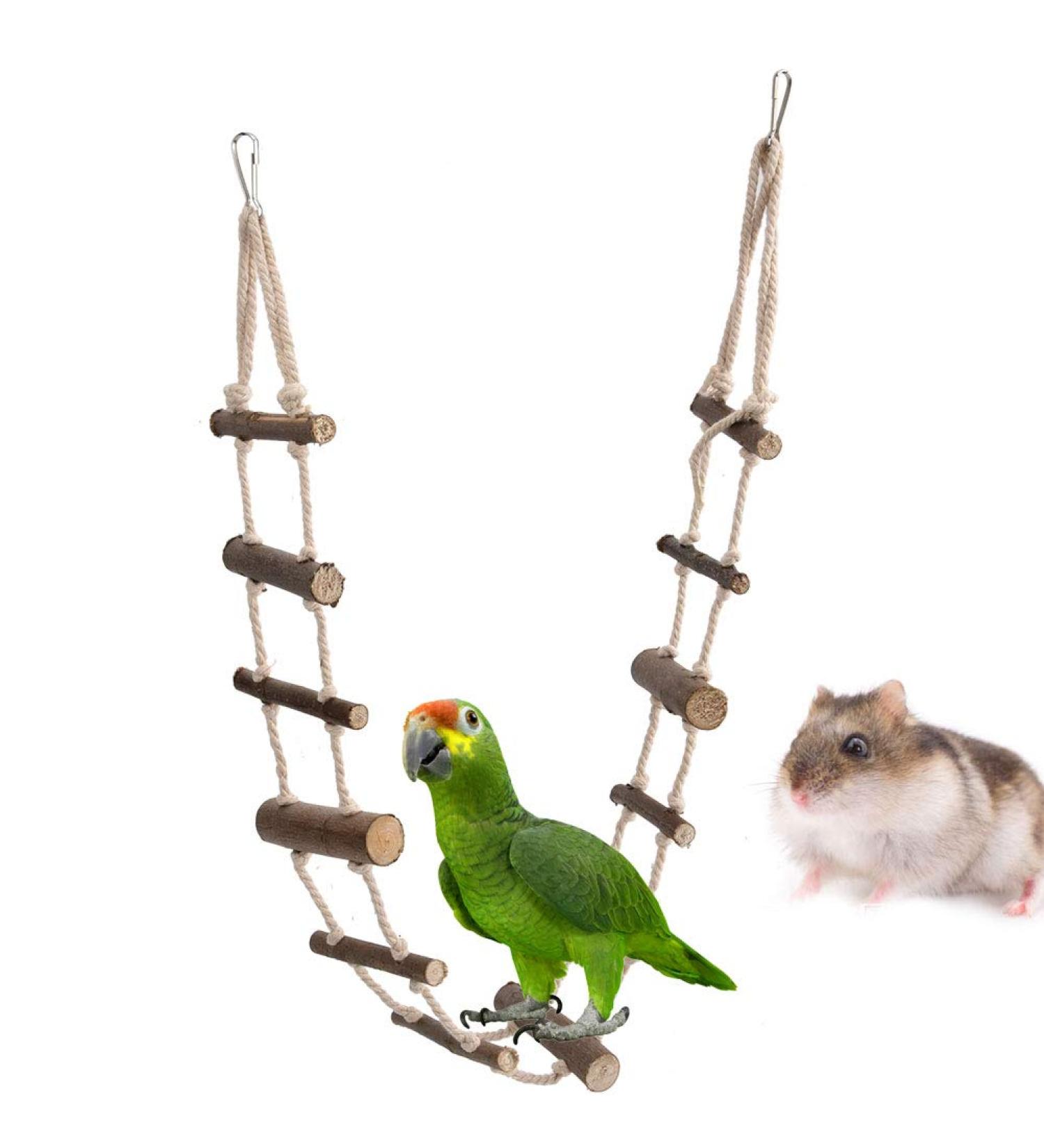 Pet Rope Ladder Climbing Toy for Hamsters, Birds, Rats - Swing Bridge for Small Animals and Parrots - Buy Online on GoSupps.com