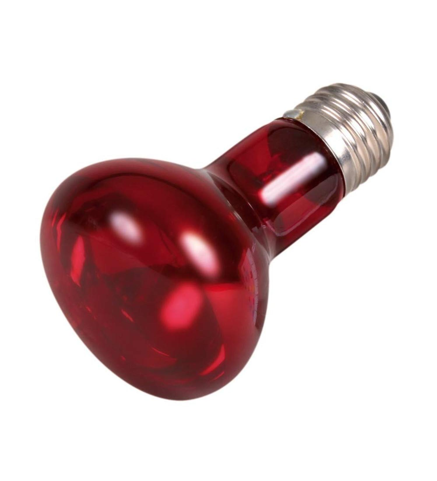 Trixie 76094 Infrared heat spot lamp 63 100 mm 35 W 35 Watt