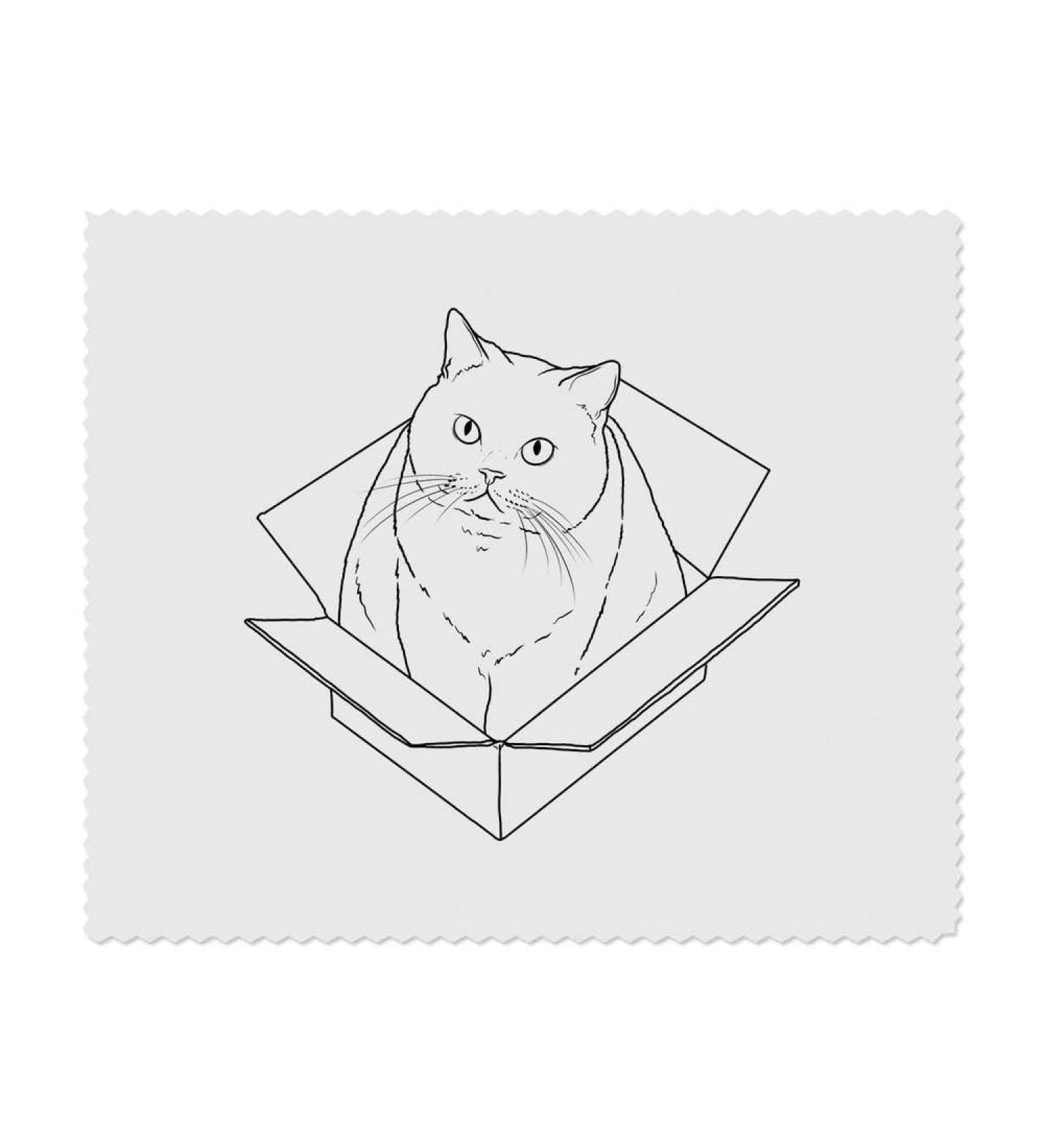 Buy 'Cat In A Box' Microfiber Lens & Eyeglass Cleaning Cloths - 2 Pack | Premium Quality | Perfect for Glasses & Screens | International Shipping Available - Buy Online on GoSupps.com