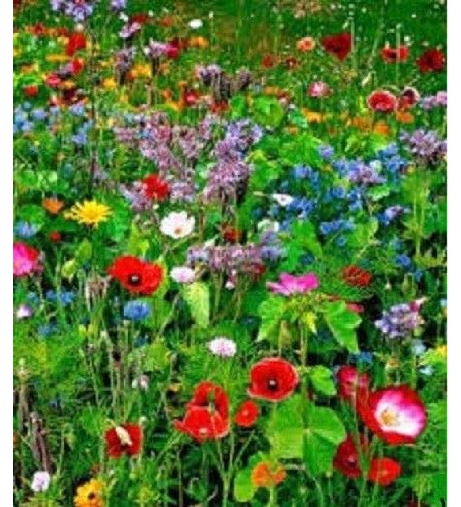 Portal Cool Premium Meadow Mix Wildflower Seeds Bee Butterfly Mix Annuals Perennial 20G