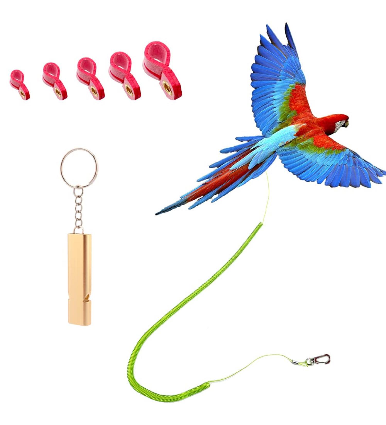 Parrot Bird Harness Leash with Training Rope, 5 Soft Foot Loops, and Whistle - Anti-bite Outdoor Flying Training (Upgraded Ankle Ring) - Buy Online on GoSupps.com