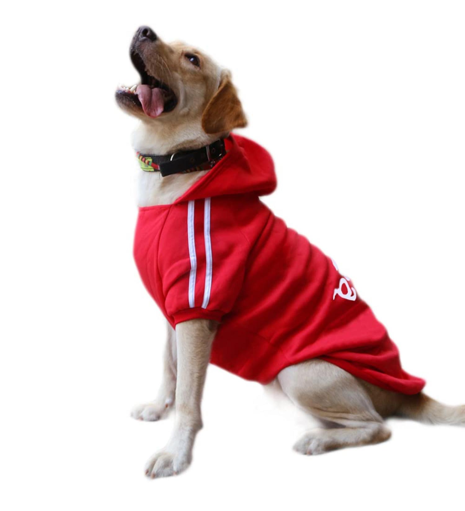 Eastlion 3XL Red Dog Hoodie - Warm Sweater Coat for Pets | Ideal Puppy T-Shirt - Buy Online on GoSupps.com