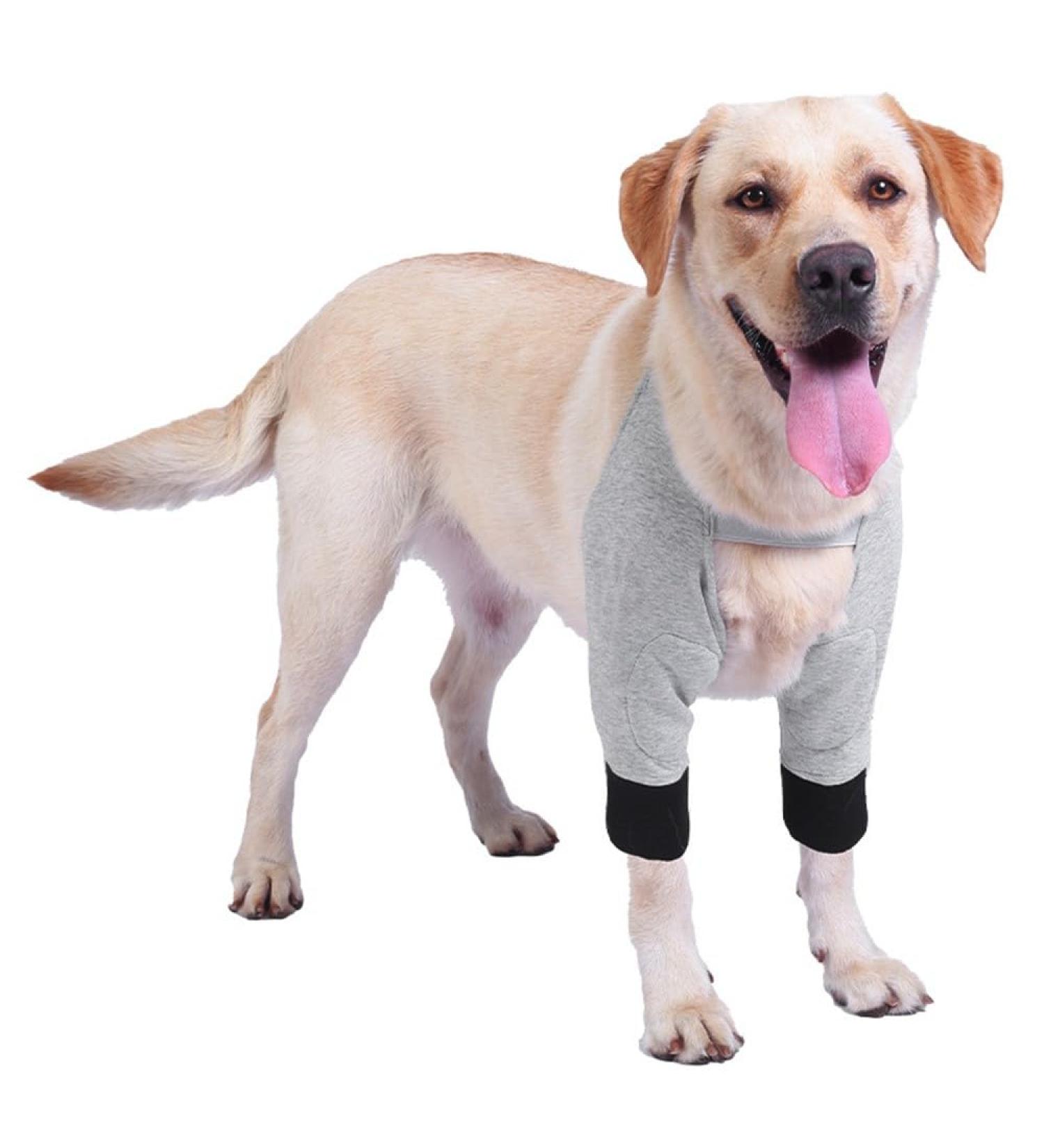 MiOYOOW Dog Front Leg Brace Adjustable Dog Elbow Brace for Protecting Dog Front Knee Joint (S/M/L/XL) - Buy Online on GoSupps.com