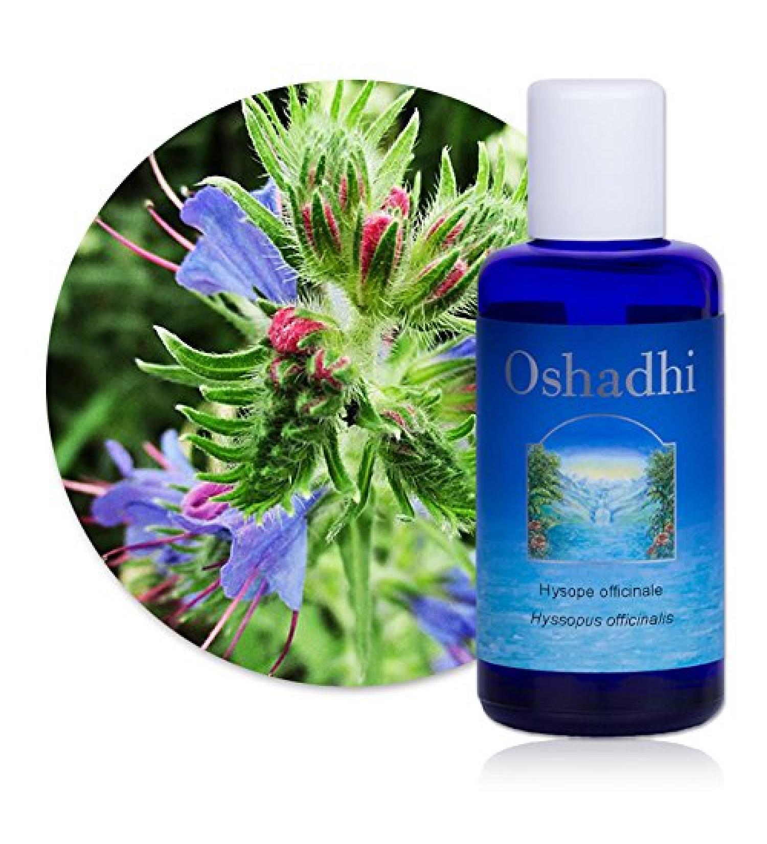 Hydrosol (Floral water): Organic common hyssop - Hyssopus officinalis - 500 ml