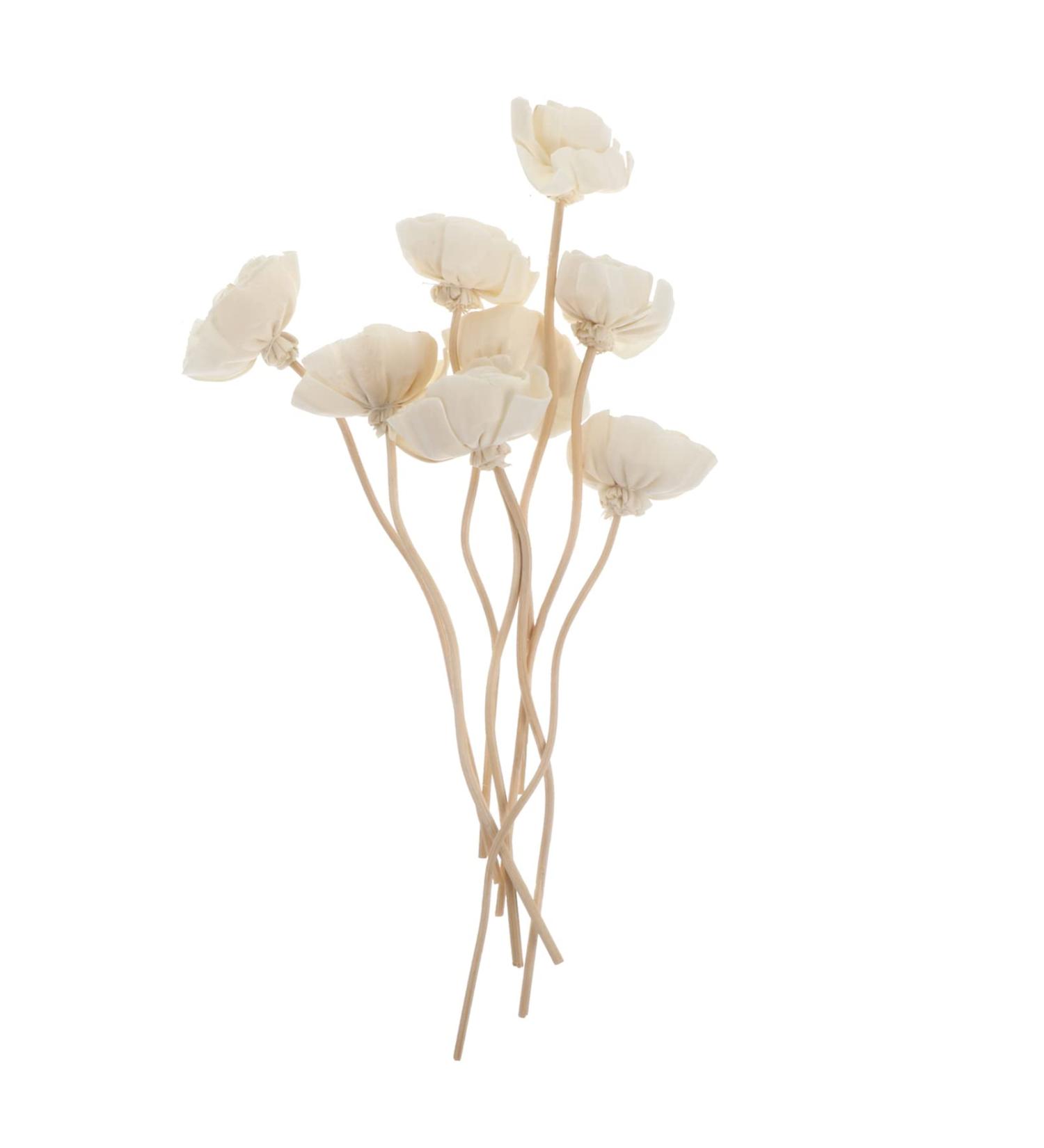 Housoutil Reed Diffuser Sticks - Replacement Aroma Sticks for Essential Oil & Room Fragrance | 8 Rattan & Wooden Refill Sticks - Buy Online on GoSupps.com