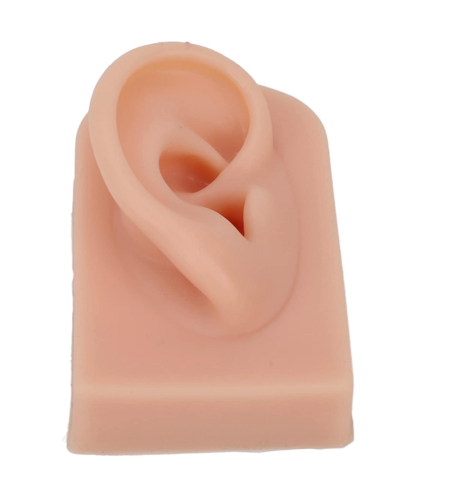 Reusable Human Ear Model - Dark Skin Color for Acupuncture & Headphone Display - Buy Online on GoSupps.com