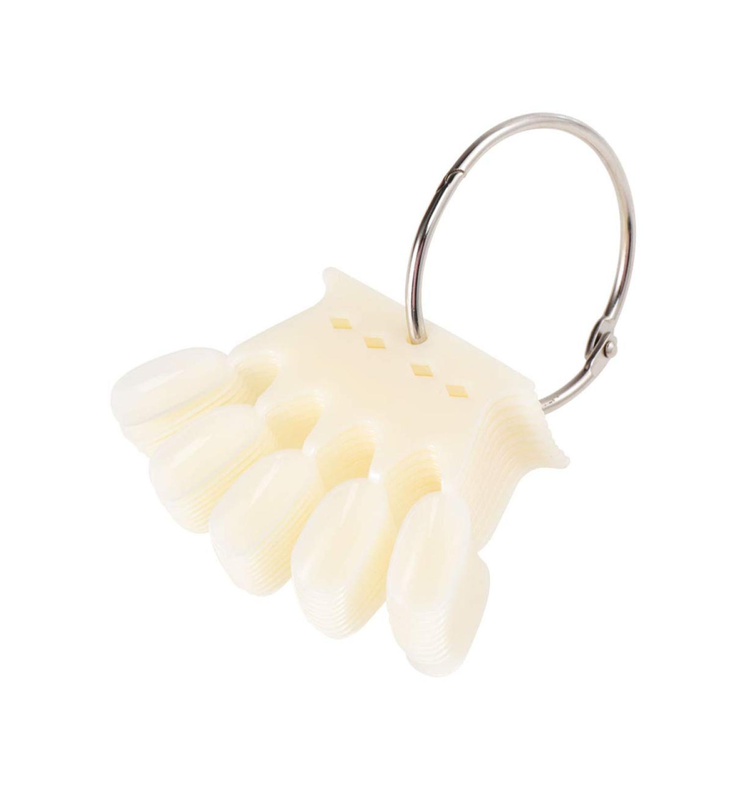 Mikinona 1 Set Demonstration Color Board Nail Art Tool Color Model Nail Color Display Tips Nail Polish Color Display Ring Nail Polish Rack Nail Color Display Sticks Manicure Tools Size 1 As Shown - Buy Online on GoSupps.com