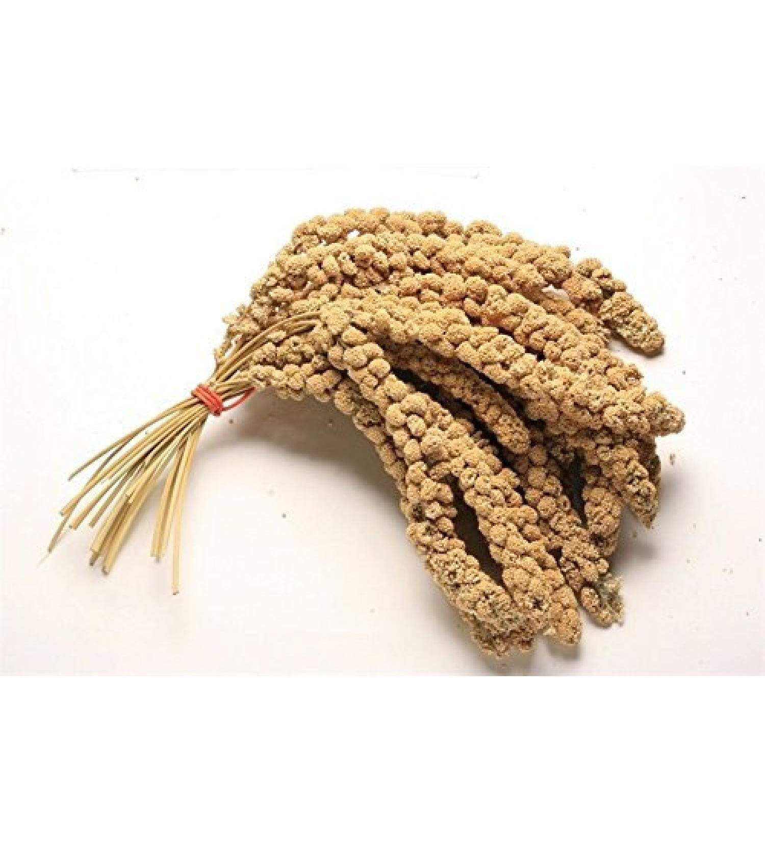 Pet Ting 1Kg Millet Spray for Birds and Small Animals - budgies Canaries Cocktaiel Parrots ETC