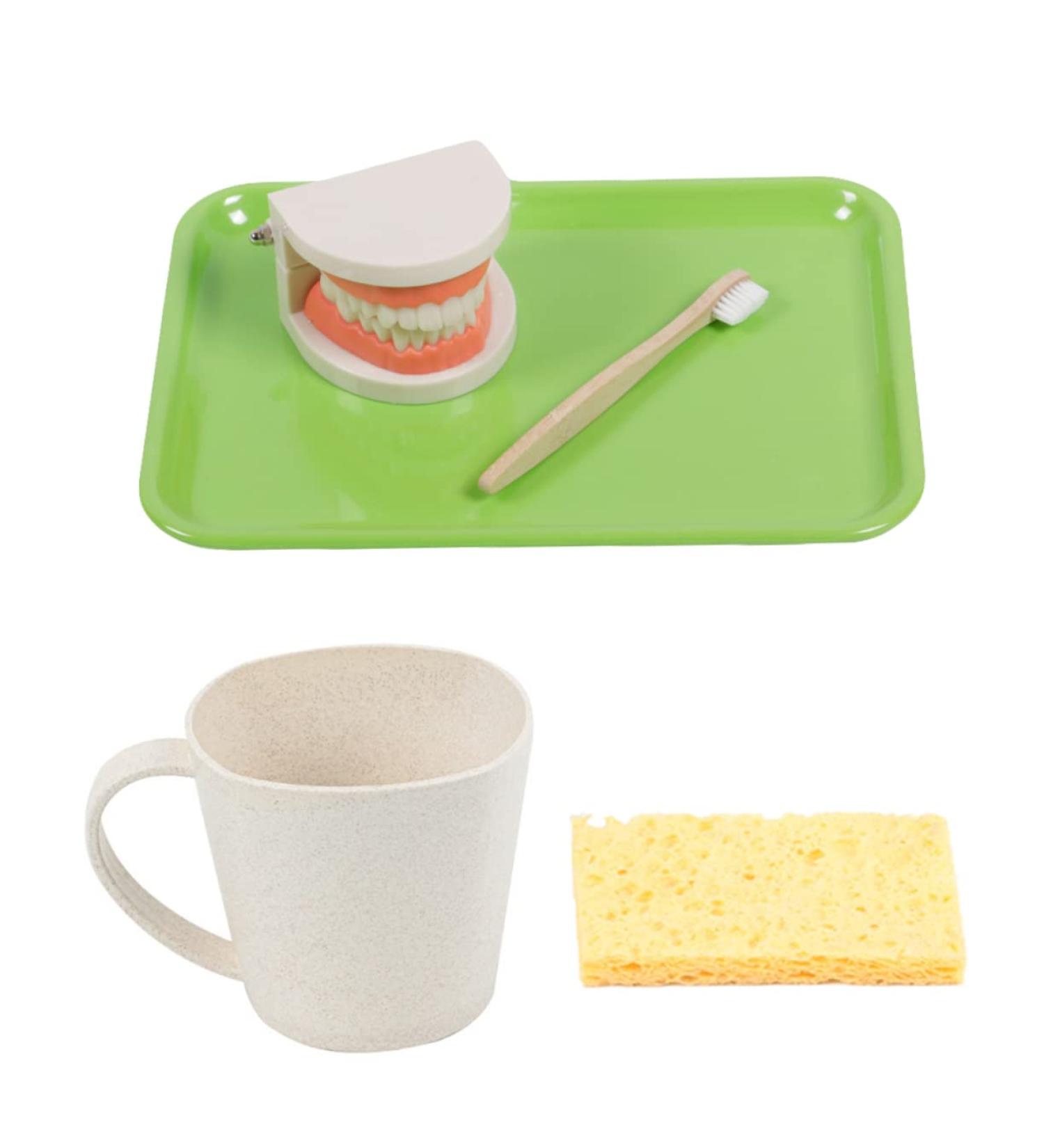 Ipetboom Children's Dental Education Toy | Early Learning Model for Dental Health | Reusable Tooth Model for Kids - Buy Online on GoSupps.com