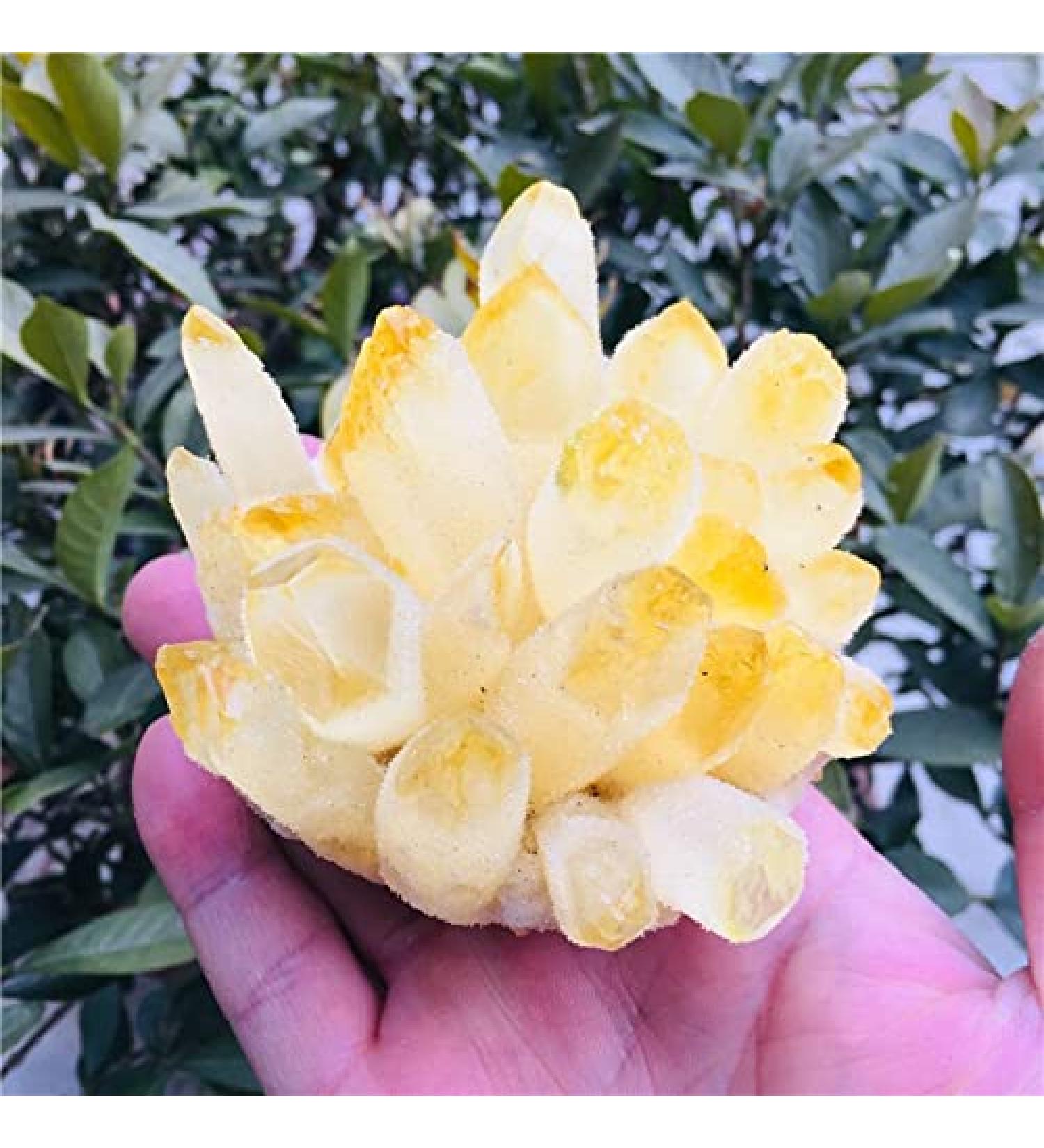 Crystals Stones Natural Yellow Ghost Quartz Crystals raw Gemstone Specimen for Home&Office Decoration fengshui (Size : 700-800g) HOMEZHOU (Size : 600-700g) - Buy Online on GoSupps.com