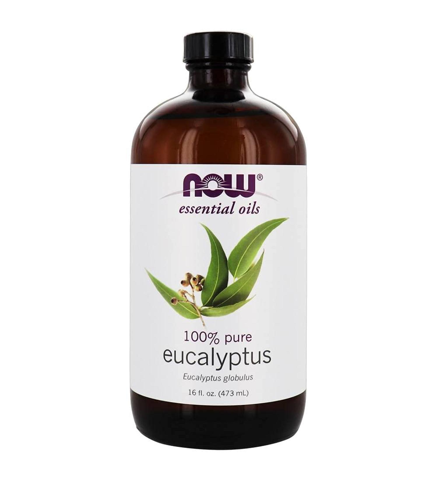 Eucalyptus Oil 16 fl oz (473 ml) - Premium Therapeutic Essential Oil for Aromatherapy & Natural Remedies - Fast International Shipping - Buy Online on GoSupps.com