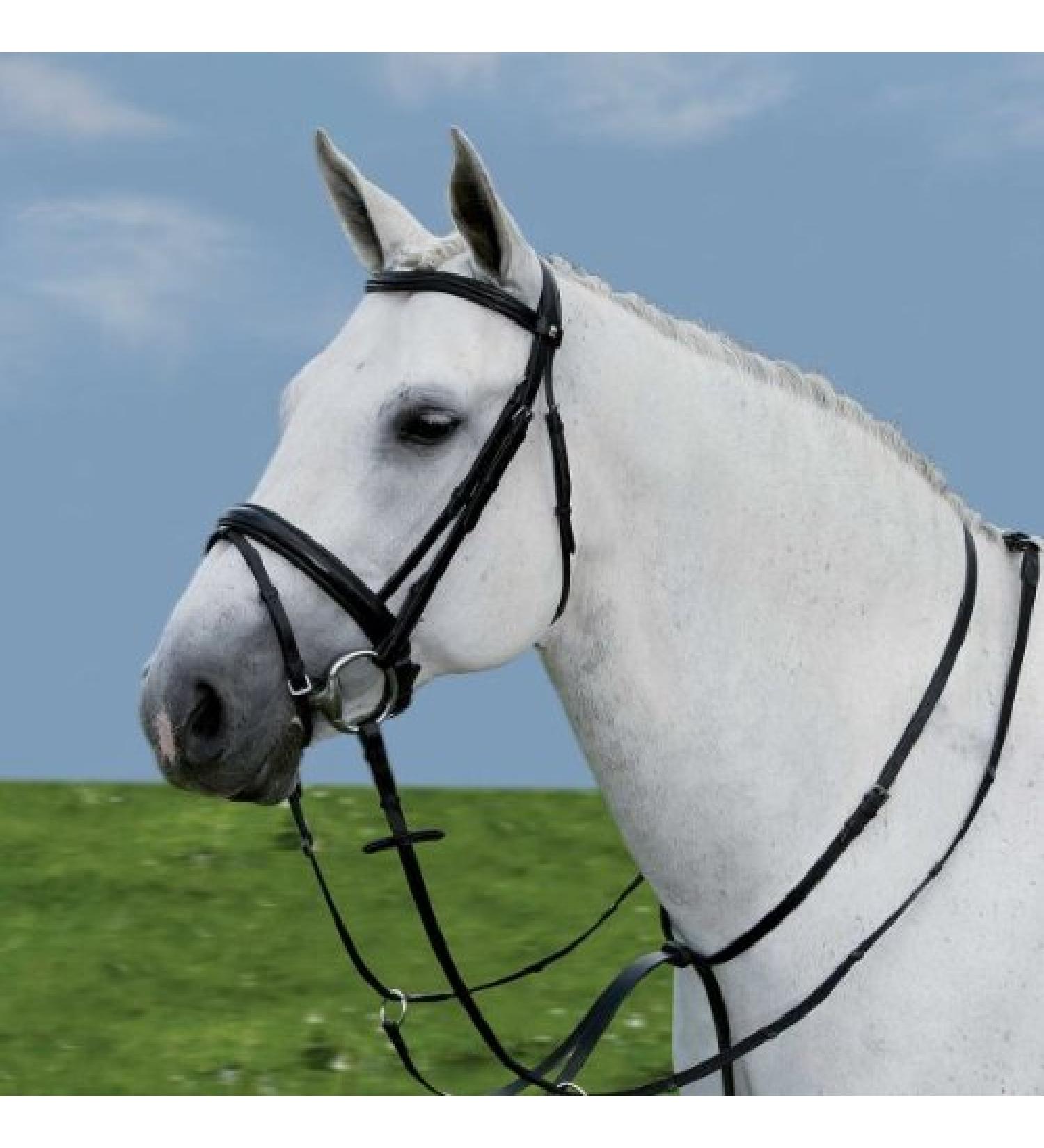 WALDHAUSEN Star Martingale brown Warmblood