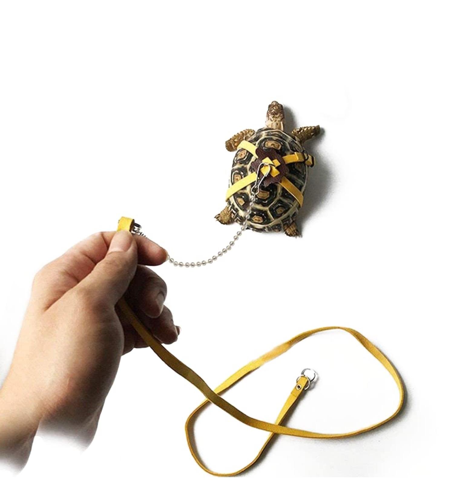 Leather Harness Strap for Tortoise Adjustable Small Pet Harness Reptile Leash Turtle Leash Pet Walking Lead - Buy Online on GoSupps.com