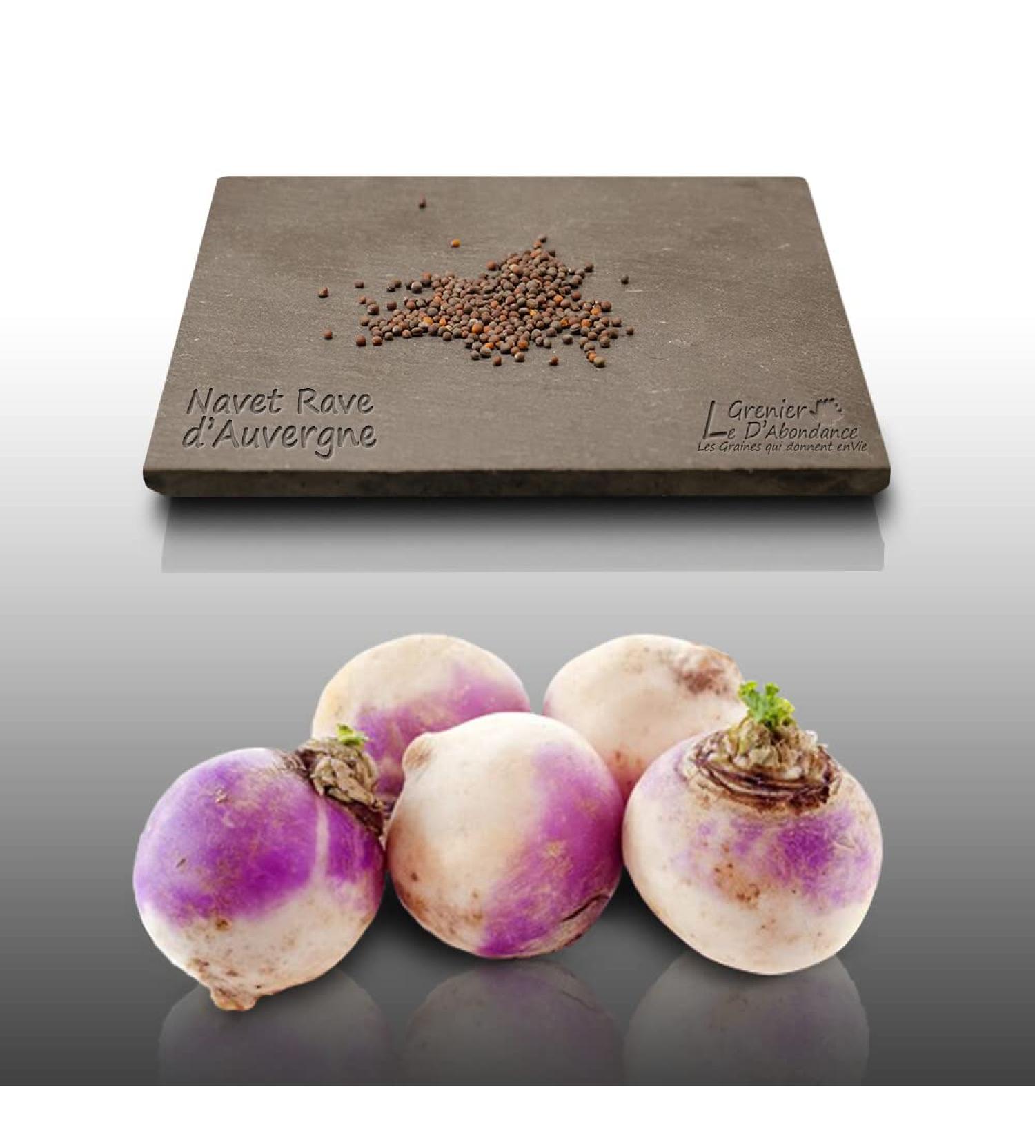 250 Seeds to sow Le Grenier dAbondance Early Turnip Auvergne Rave Rapum - Buy Online on GoSupps.com
