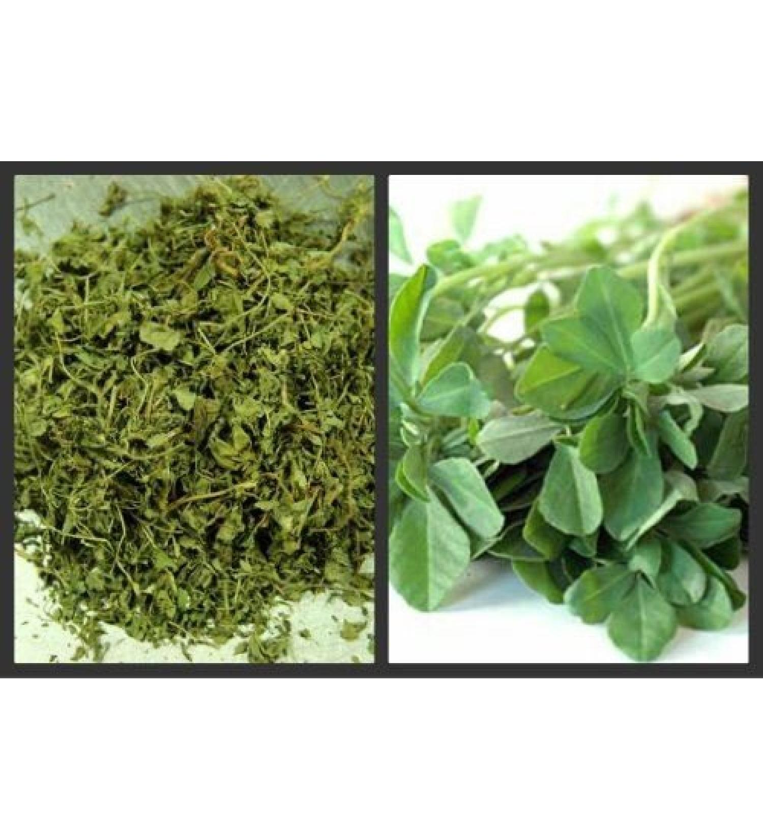 100g | DRIED FENUGREEK LEAVES DRY FENUGREEK LEAF METHI KASTO...