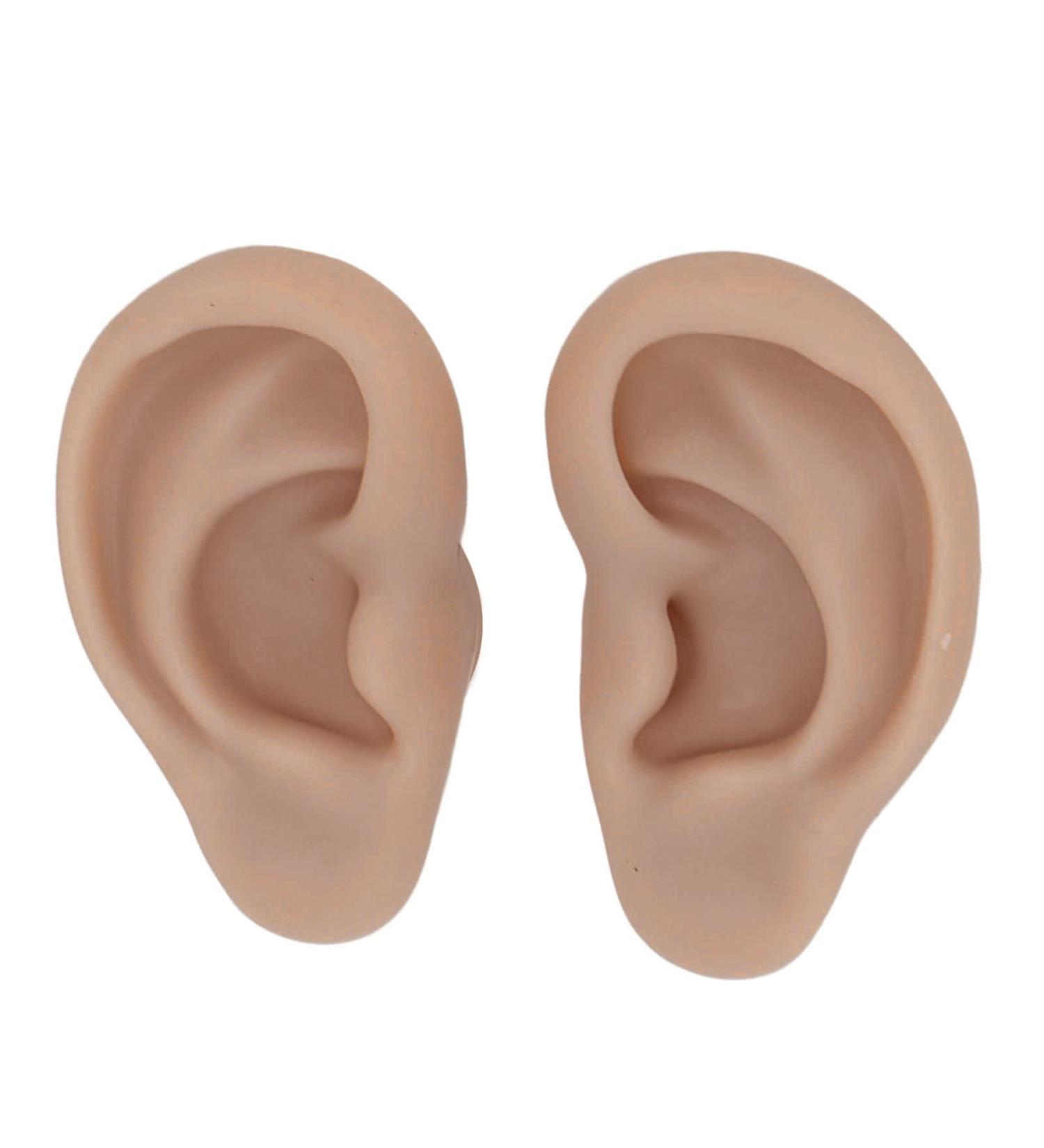 Realistic Silicone Ear Model for Earrings | Reusable Flexibility | Dark Skin Tone | Perfect for Display & Practice - Buy Online on GoSupps.com