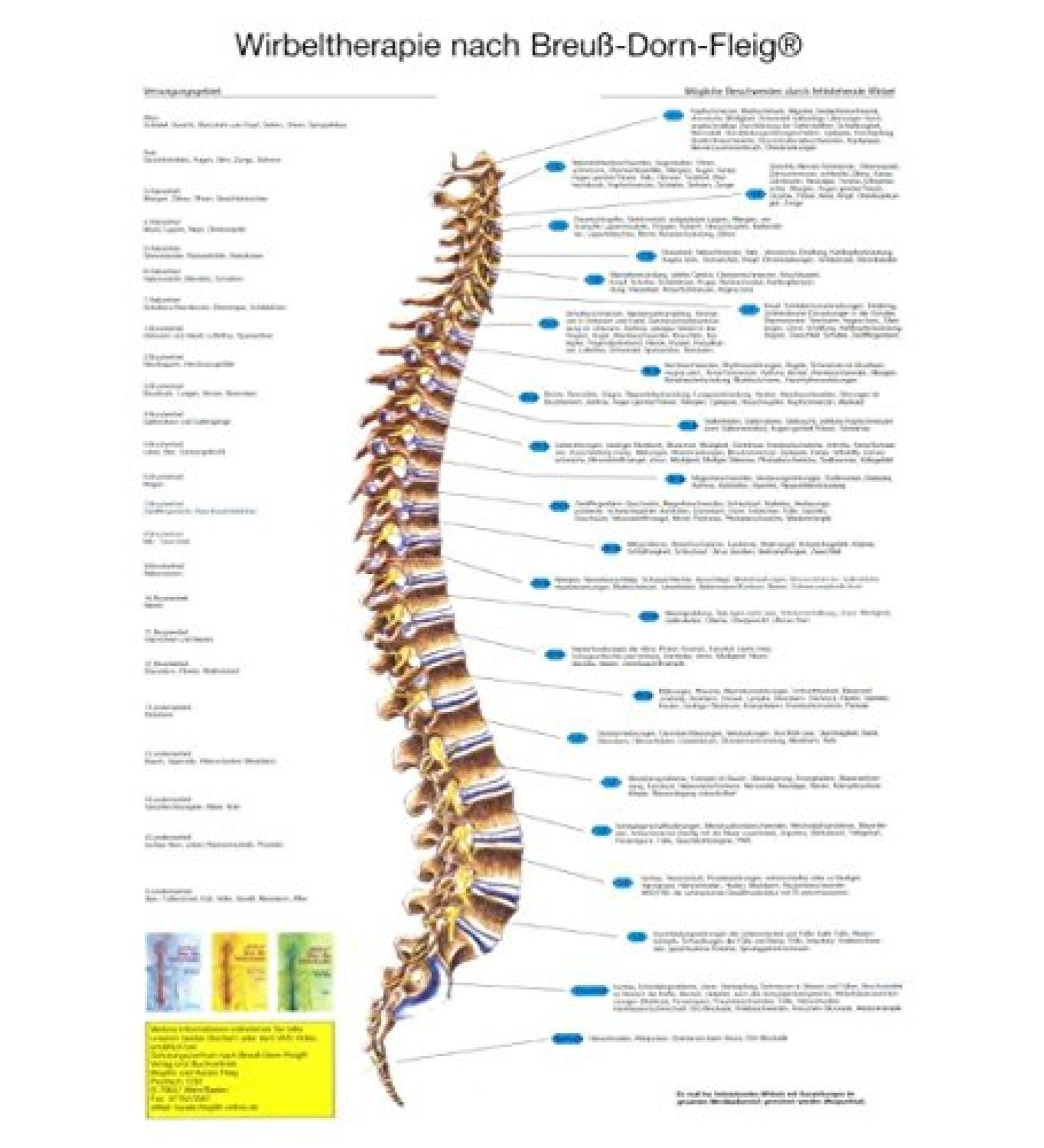 Spinal therapy according to Breuß-Dorn-Fleig (Din A2)
