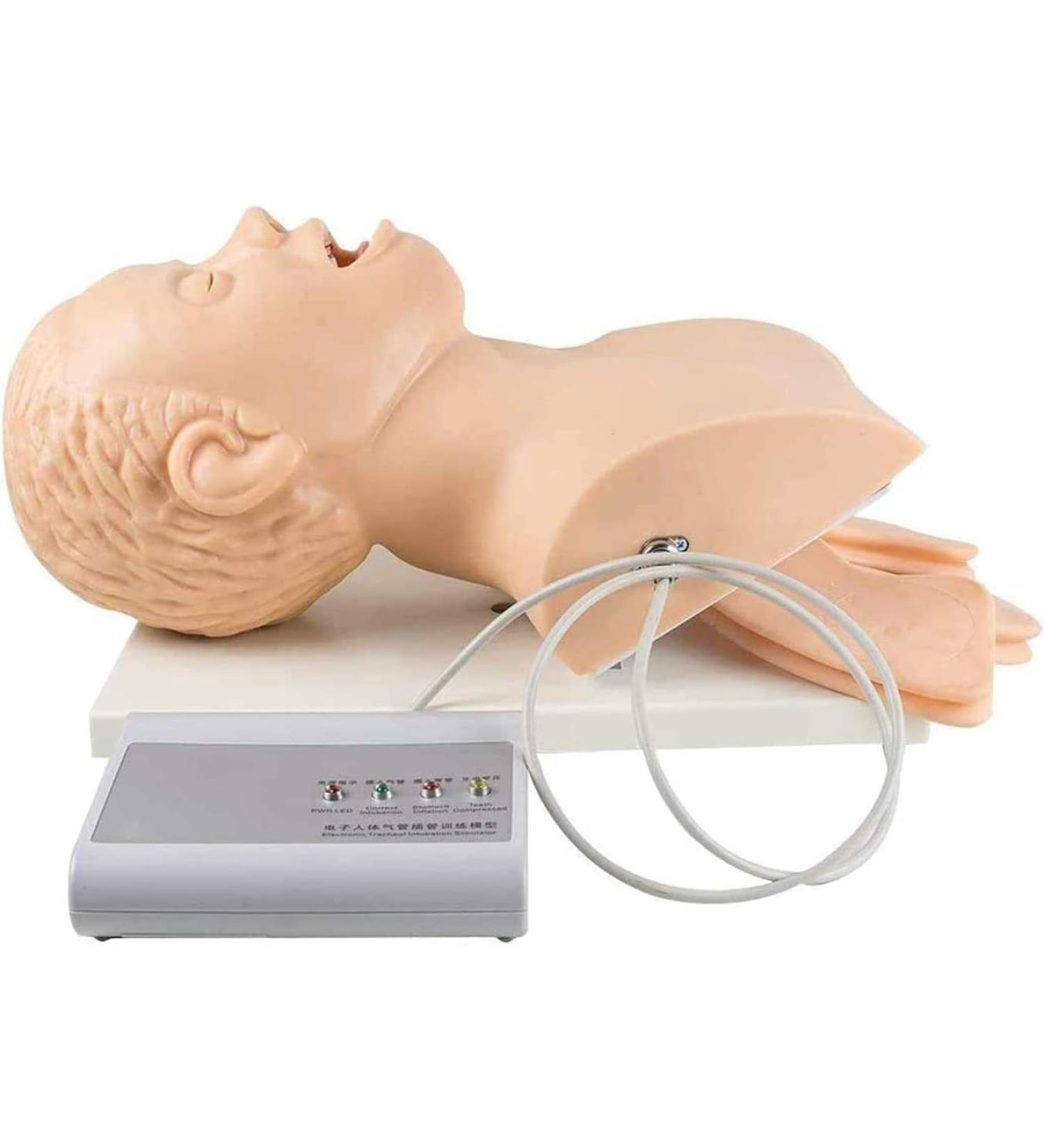 Adult Intubation Manikin - Oral Nasal Airway Management Simulator | Nursing Education Trainer with Removable Conversion Kit - Buy Online on GoSupps.com