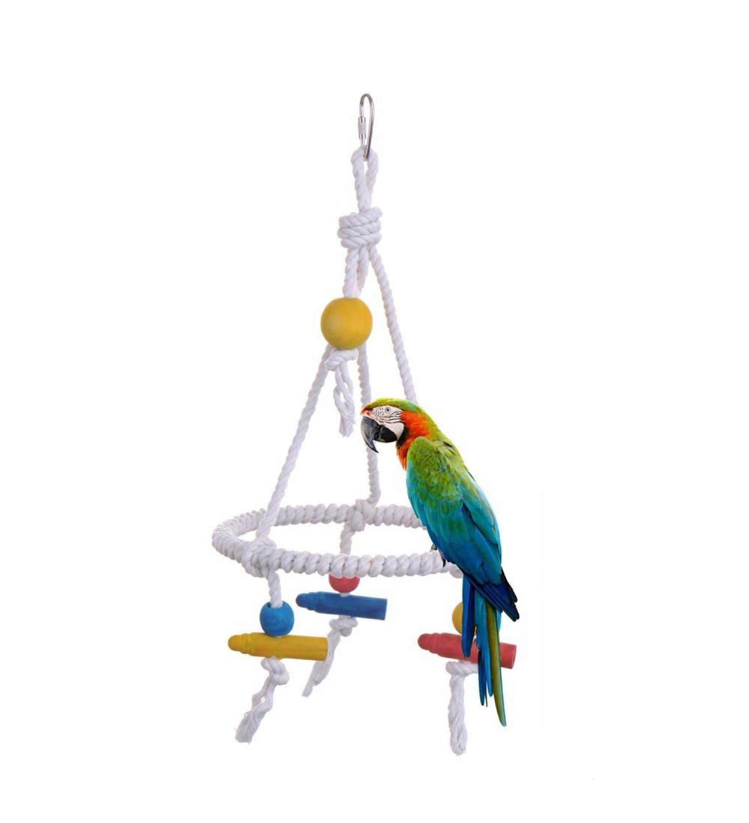 Hypeety Pet Bird Swing Toy - Round Cotton Rope Hanging Hammock for Parakeet, Budgie, Cockatiel - Fun Tri Toy for Cage Enrichment - Buy Online on GoSupps.com