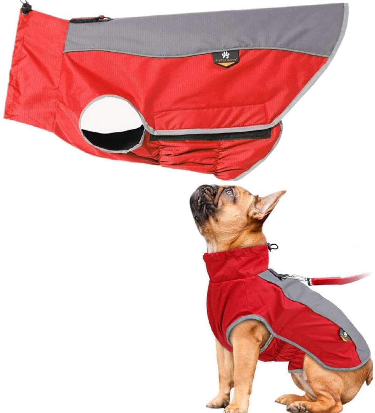 PLUS PO Waterproof Dog Raincoat for Small Dogs - Red & Pink Full Coverage - Buy Online on GoSupps.com