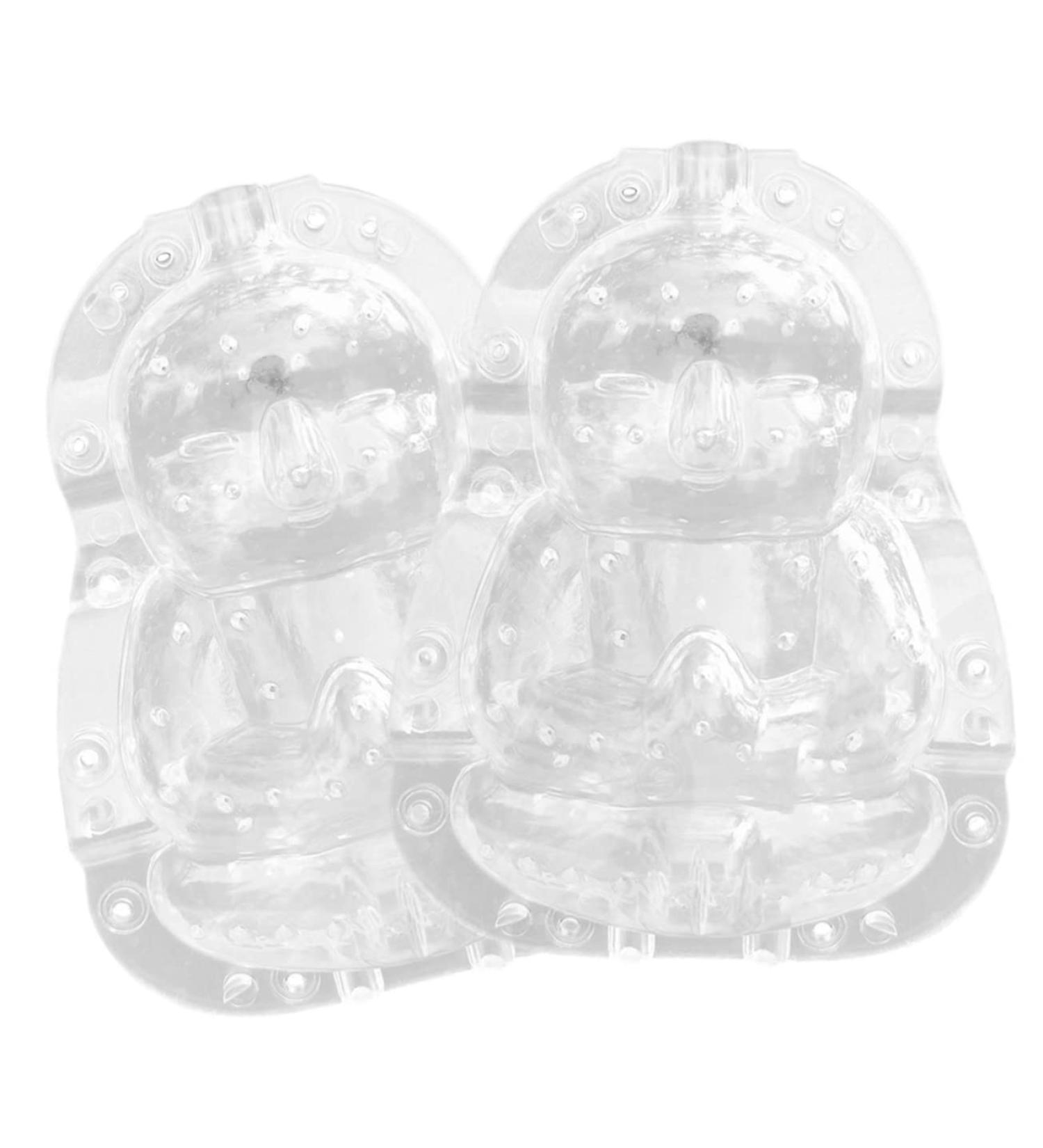 HOMSFOU 4 Pcs Vegetable Shaping Mold Fruit Forming Molds Vegetables Growing Shape Pumpkin Growing Mold Fruit Molds Watermelon Growing Molds Fruit Growing Molds Buddha Garden Small - Buy Online on GoSupps.com