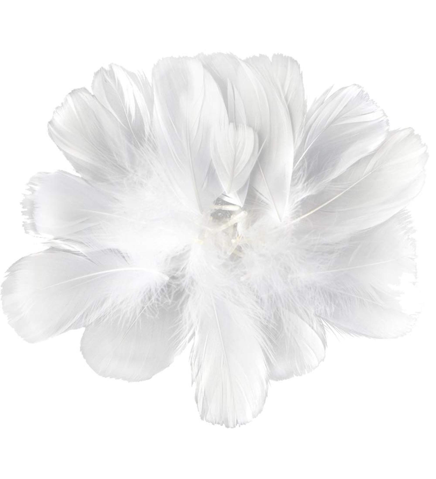 HaiMay 450 White Feathers for Craft Wedding & Party Decor 3-5 inches - Home Decorations - Buy Online on GoSupps.com
