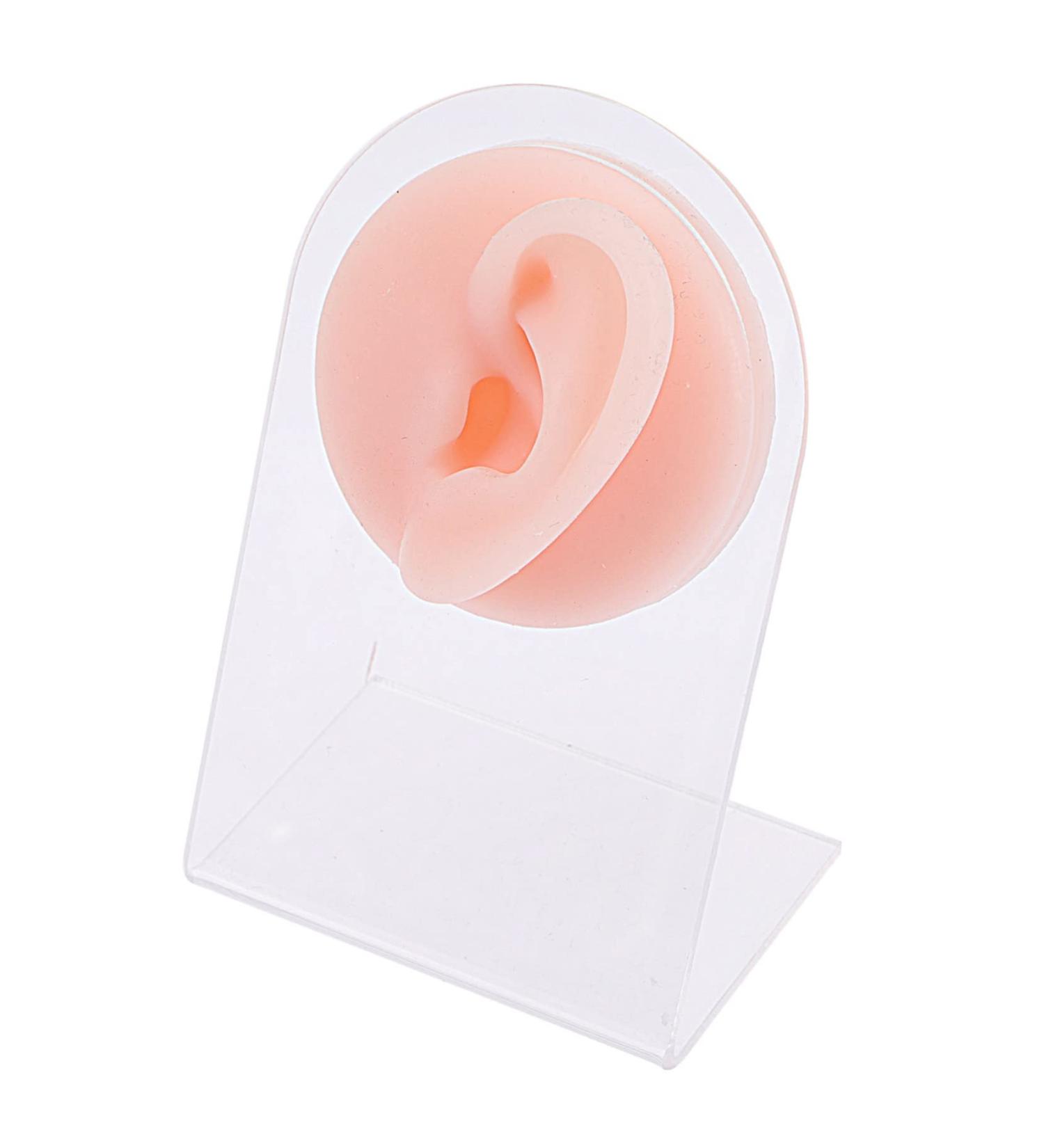 Beaupretty Silicone Ear Model for Piercing and Jewelry Kits - Ear Jewelry Holder and Earring Stud Set for Babies - Earring Support Moulds - Complexion 11.5x7.5cm - Buy Online on GoSupps.com