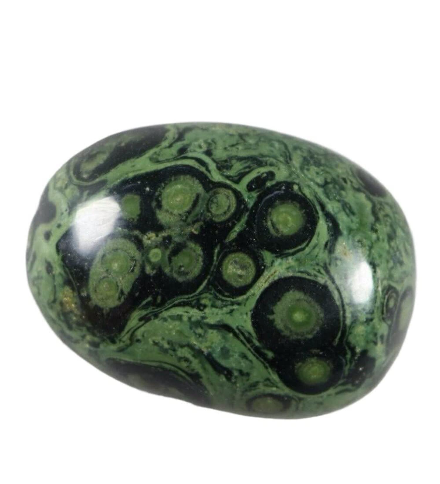 1PCS Jasper stromatolite Gem - Buy Online on GoSupps.com