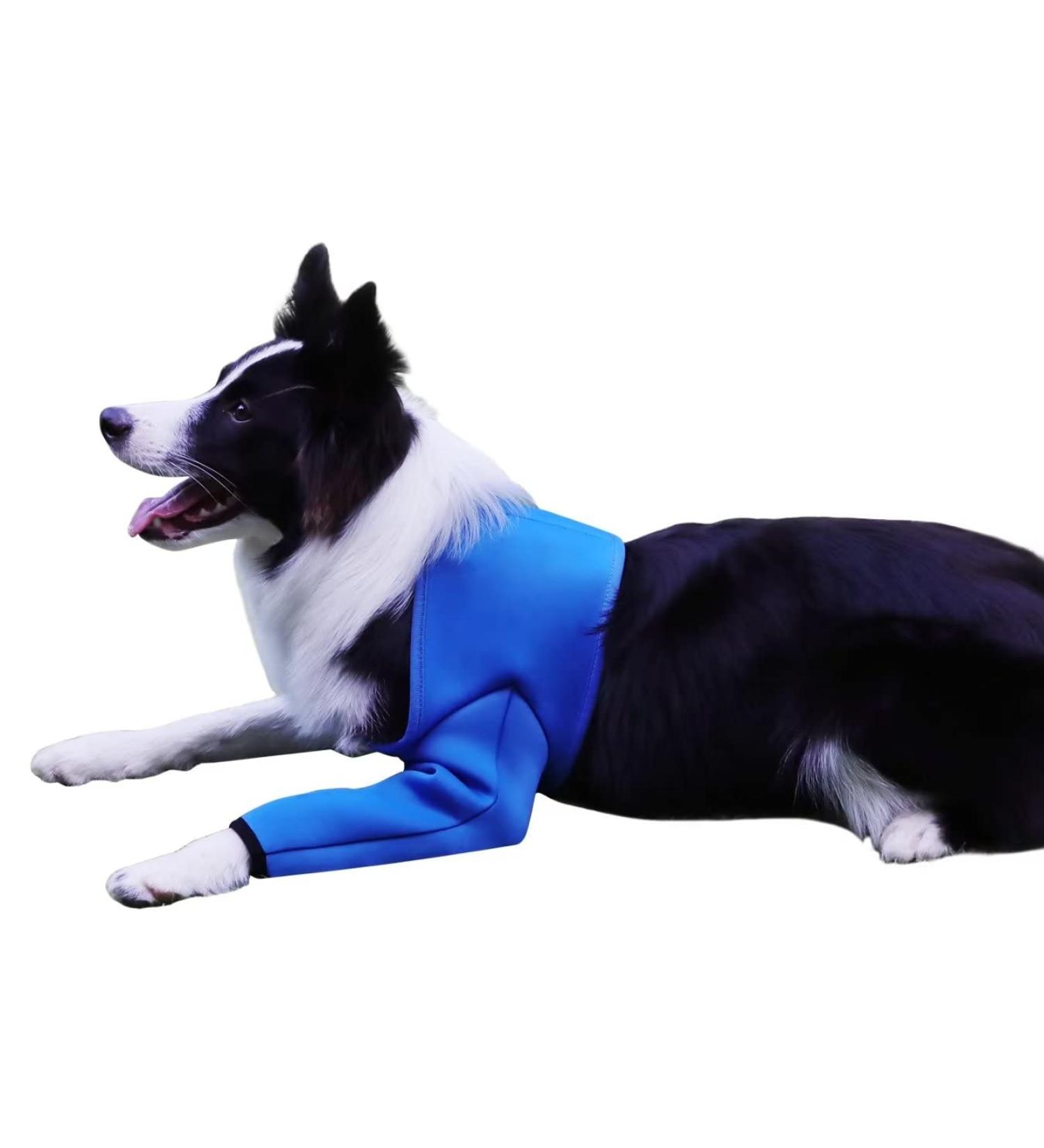 Dogs Recovery Suit - Cone Collar Alternative Abrasion-Resistant Waterproof Washable | Prevents Licking & Infection (Blue M) - Best for Pet Wounds - Buy Online on GoSupps.com