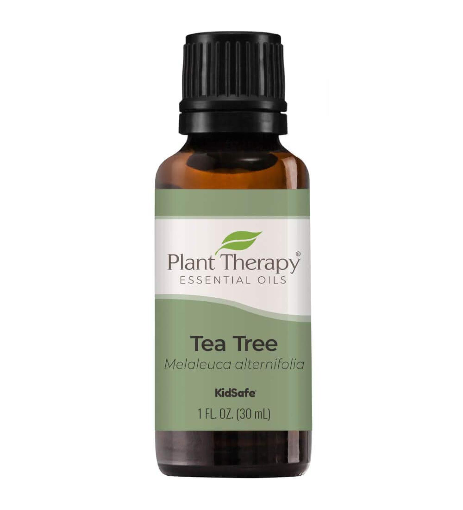 Buy Plant Therapy Tea Tree Essential Oil 100% Pure | Natural Aromatherapy | Therapeutic Grade 30 mL - Fast International Shipping - Buy Online on GoSupps.com