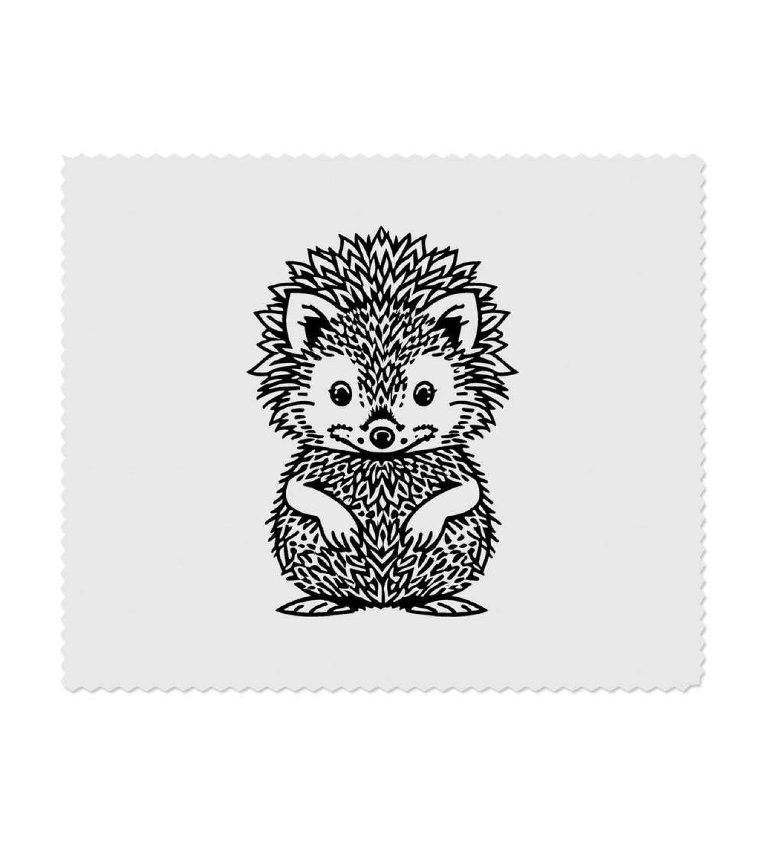 Buy 2 Cute Hedgehog Microfiber Cleaning Cloths - Soft Durable & Eco-Friendly | International Shipping Available - Buy Online on GoSupps.com