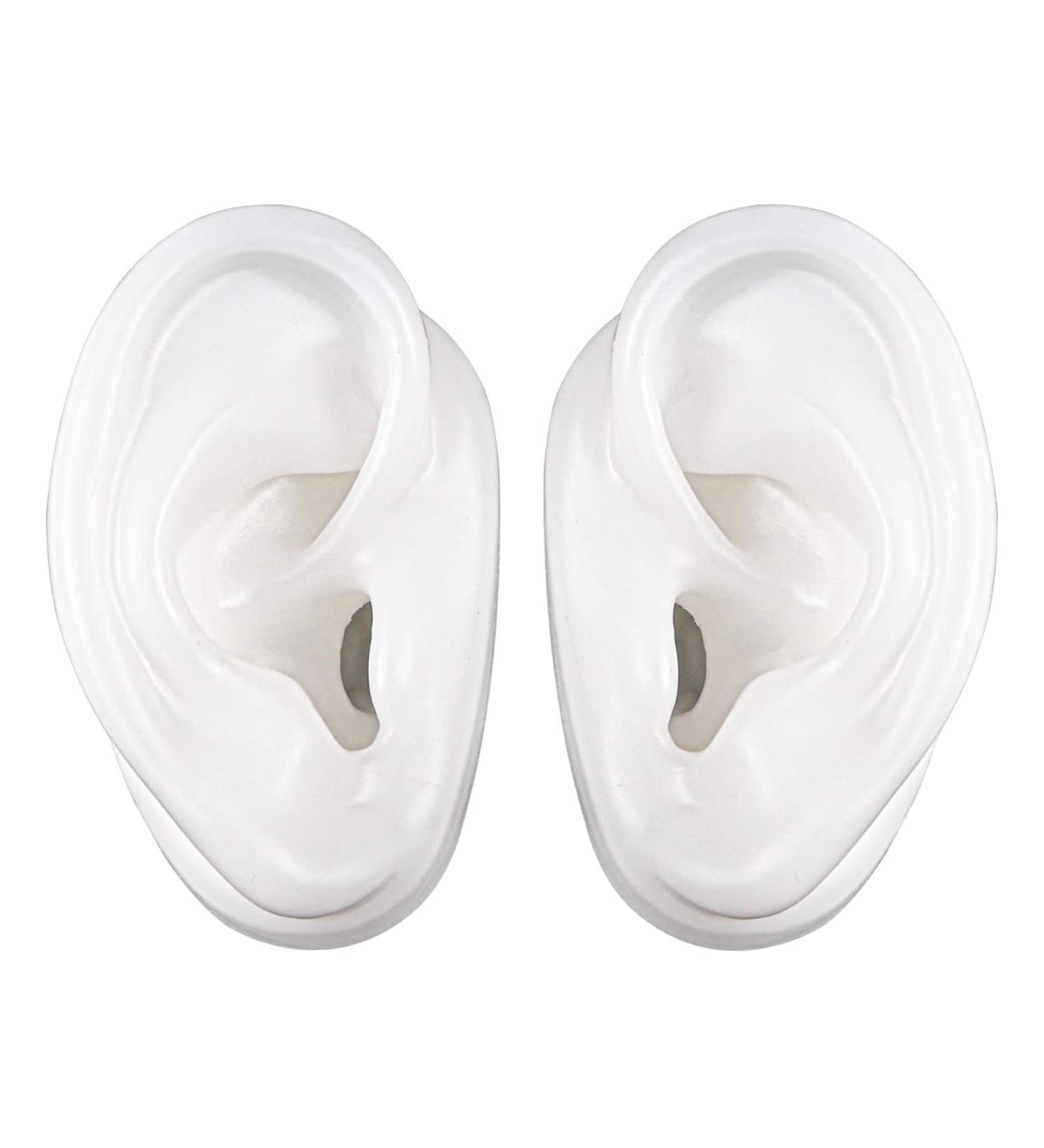 Large Silicone Ear Model for Acupuncture Practice and Jewelry Display - Buy Online on GoSupps.com