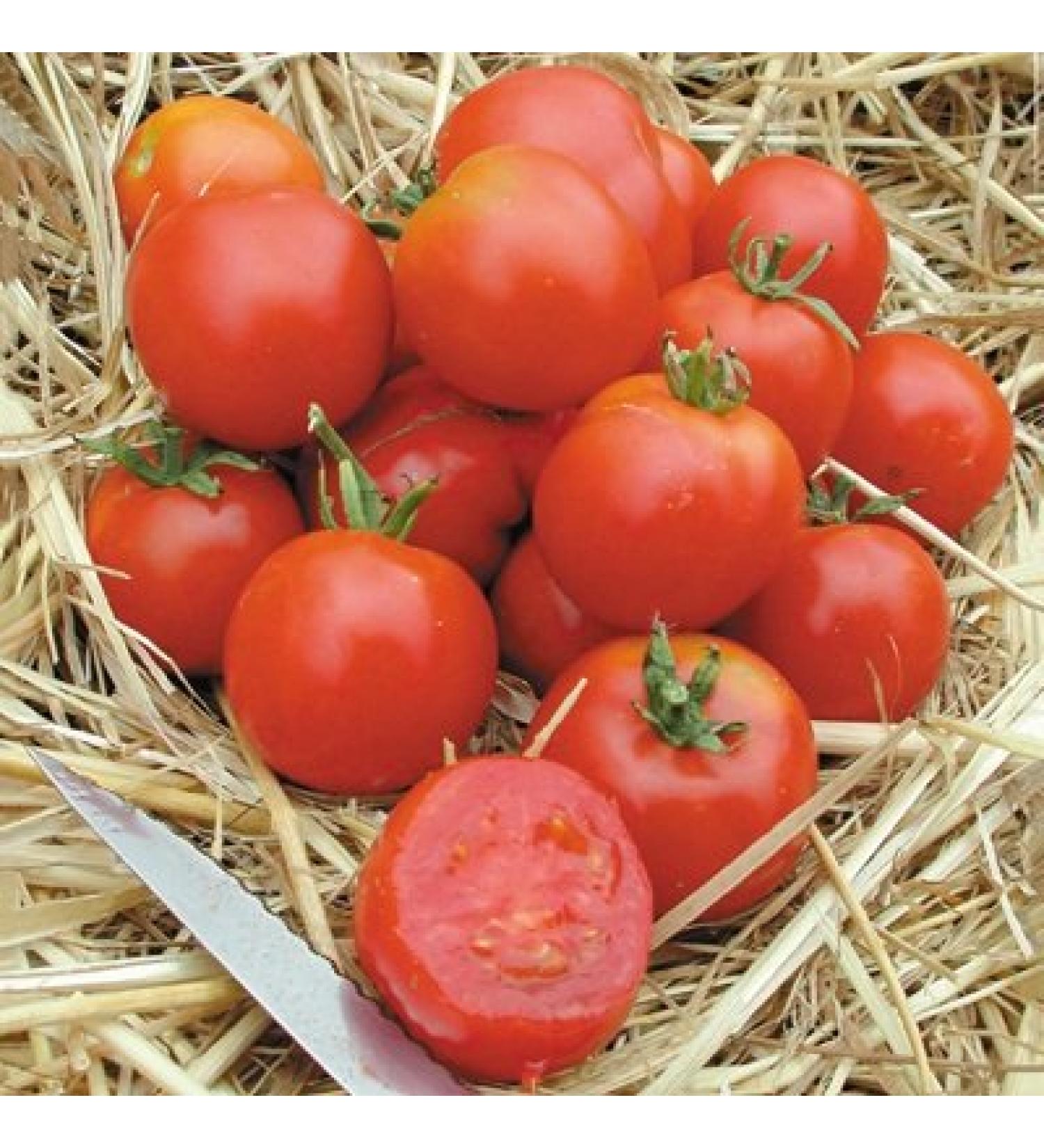 1g of Stupice tomato seeds Conventional and organic