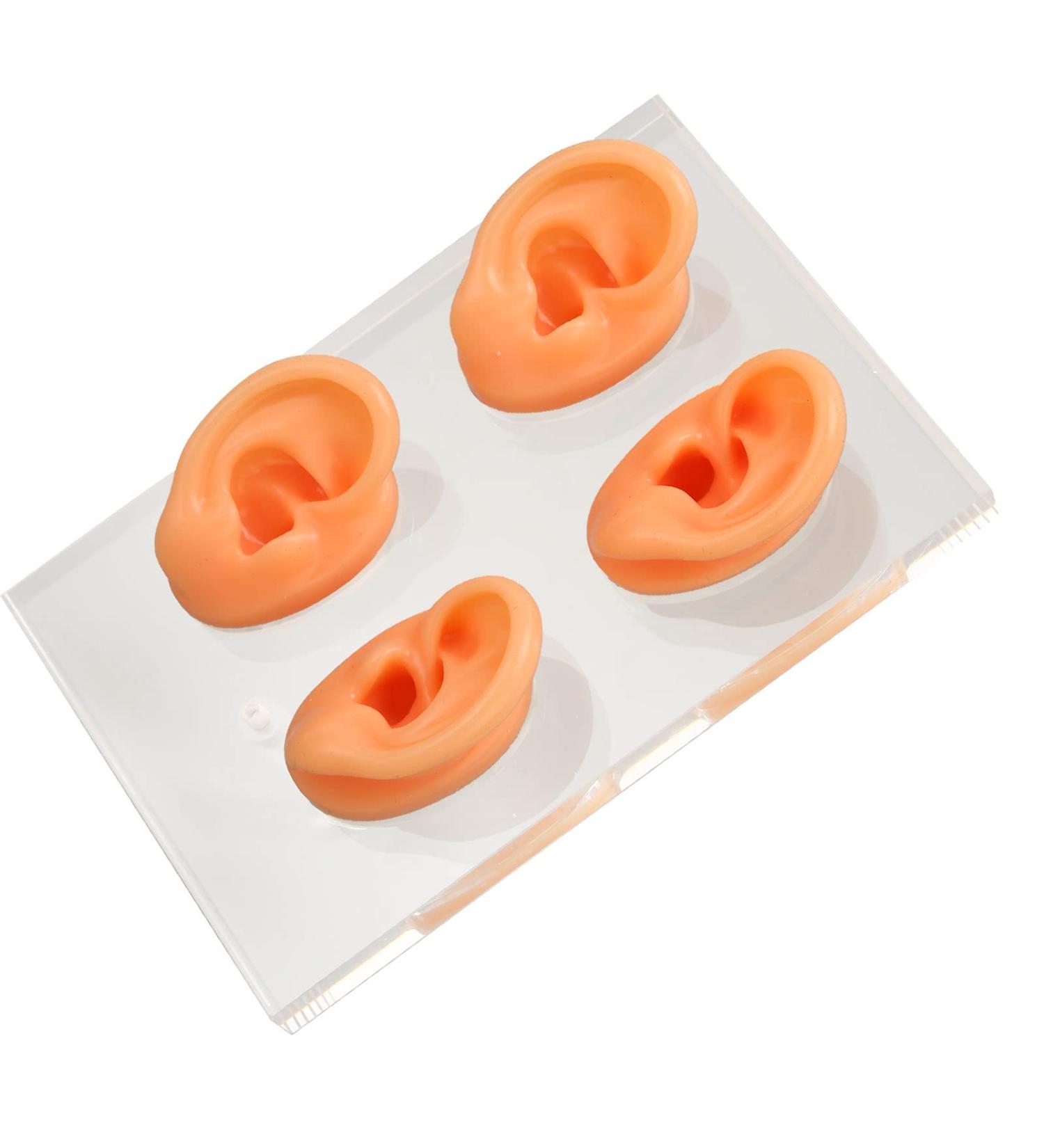 Ear Display Mold Human Ear Model Real Skin Feeling Reusable Waterproof Soft For Store Showcase For Doctor Otolaryngologists For Ear Dispensers - Buy Online on GoSupps.com