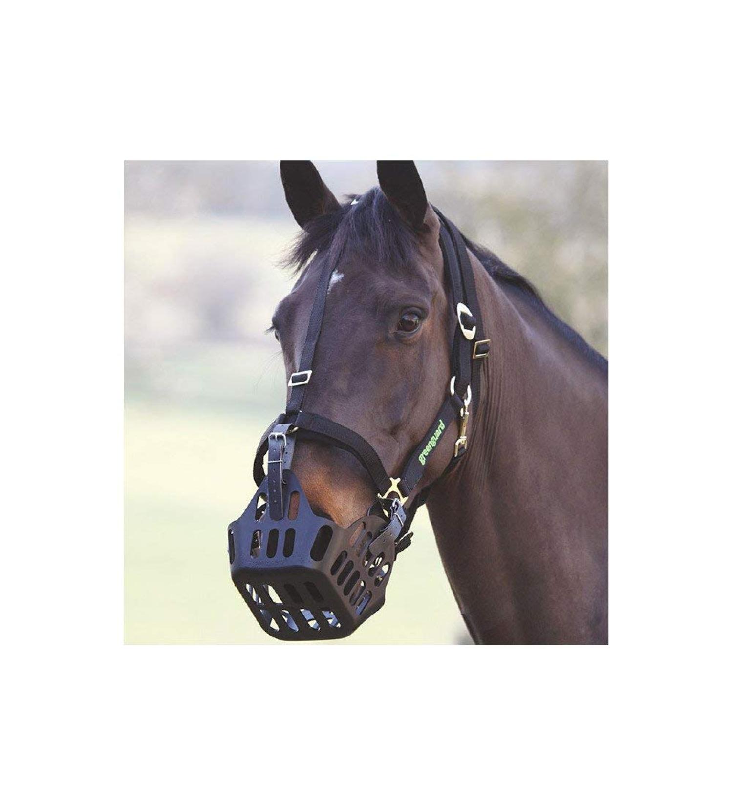 Greenguard Headcollars Black Small Pony Black