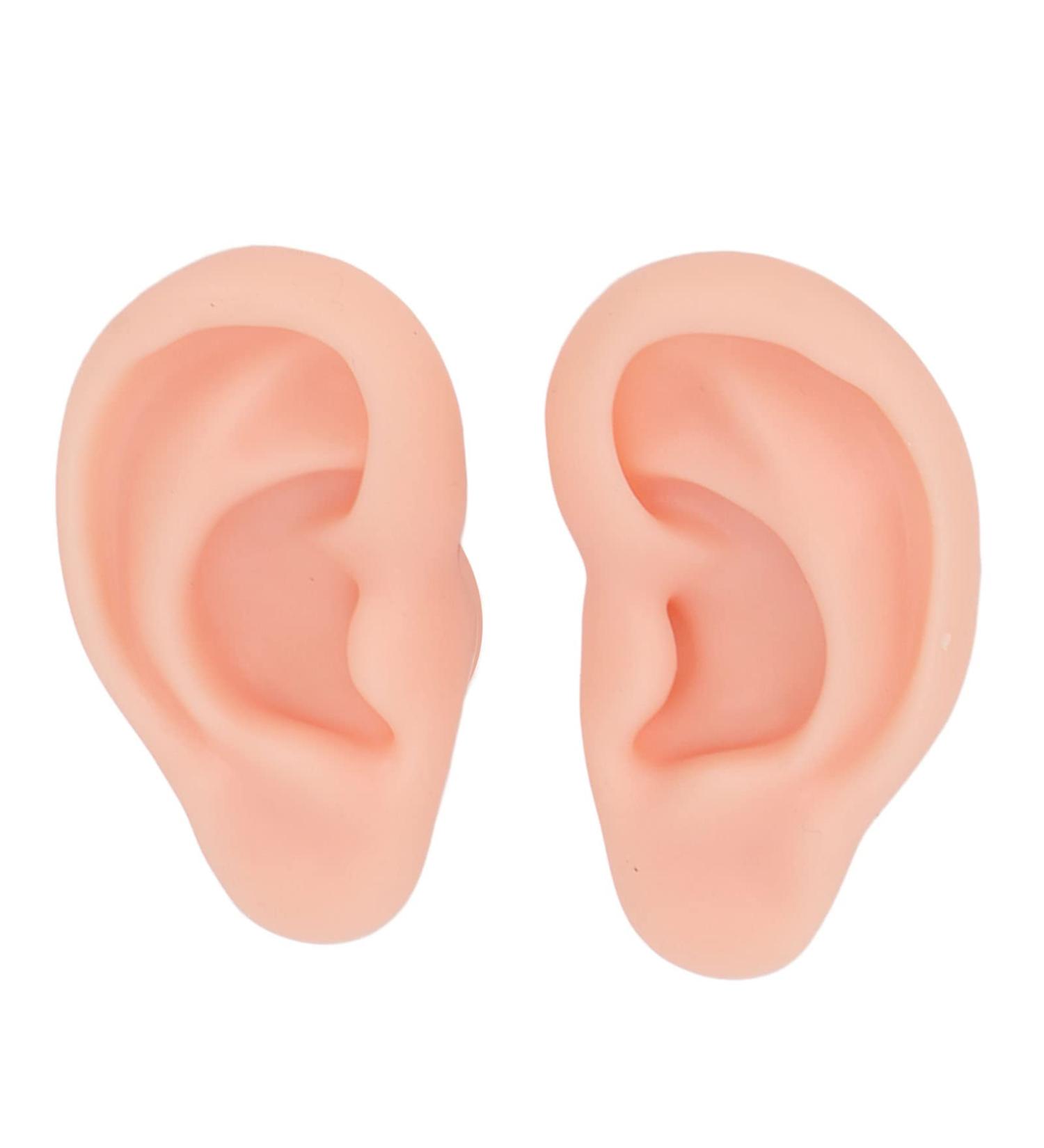Realistic Silicone Ear Model for Jewelry Display - Reusable Flexible Human Ear Simulation (Light Skin Color) | International Shipping Available - Buy Online on GoSupps.com