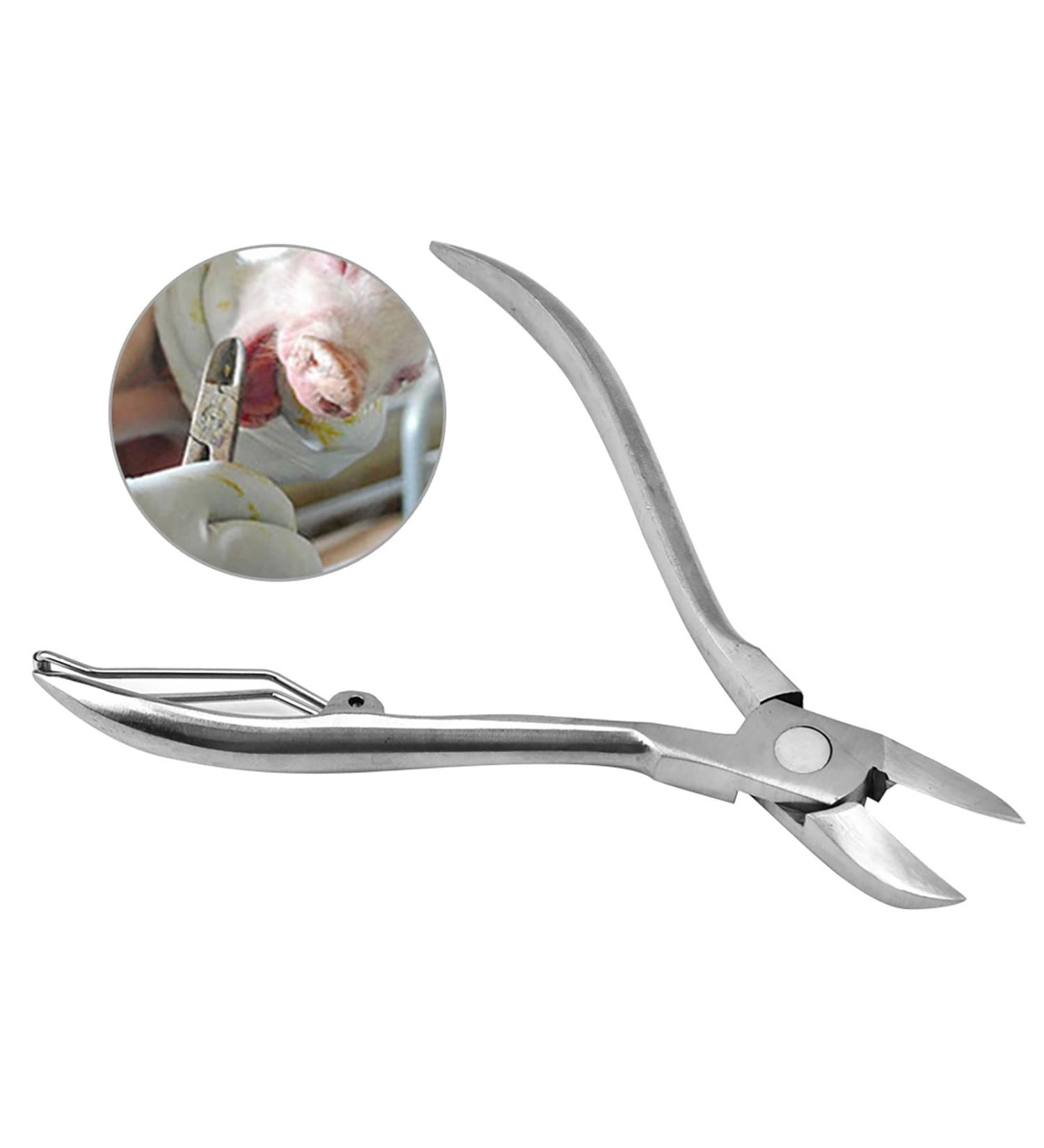 Ipper Nippers Guinea Pig Trimmer & Stainless Steel Teeth Clipper for Rodents - Wolf Vet Approved - Buy Online on GoSupps.com