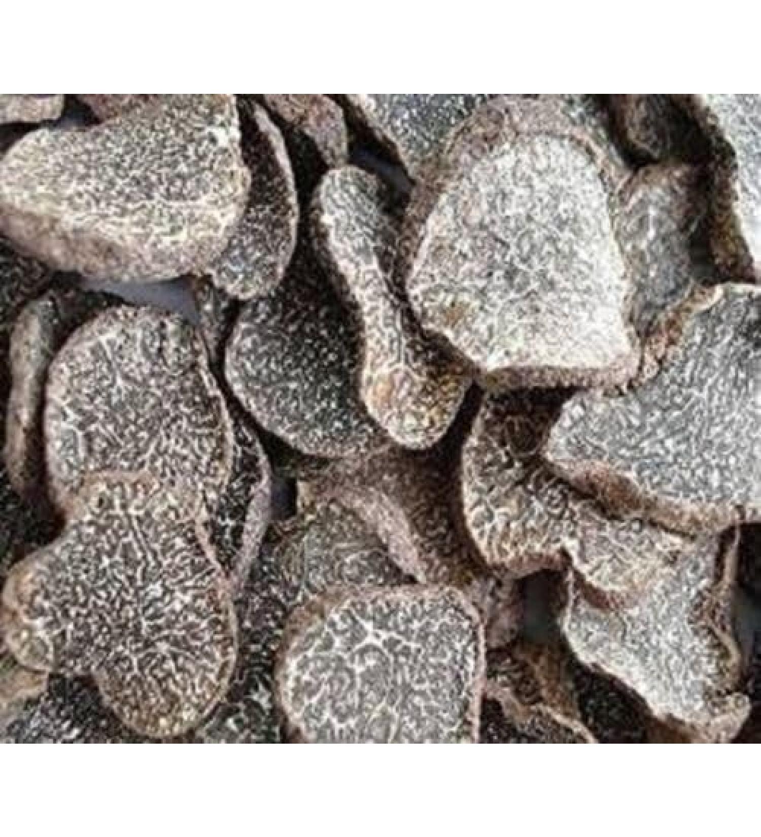 WENXUANSU:Famous Himalayas Dried Truffle Slices Premium Grade 1 Pound (454 grams) - Buy Online on GoSupps.com